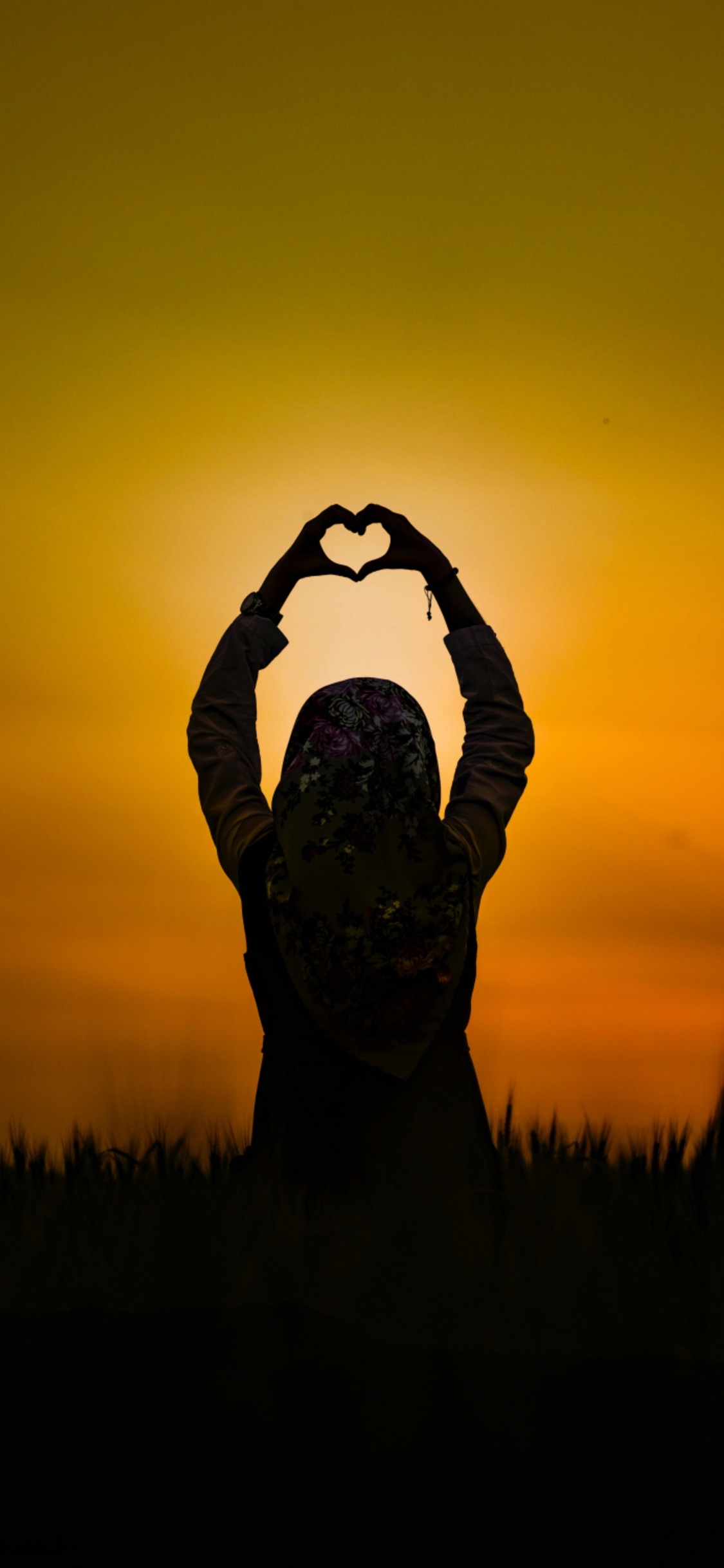 Silhouette, Sonnenuntergang, Menschen in Der Natur, Orange, Gras. Wallpaper in 1125x2436 Resolution