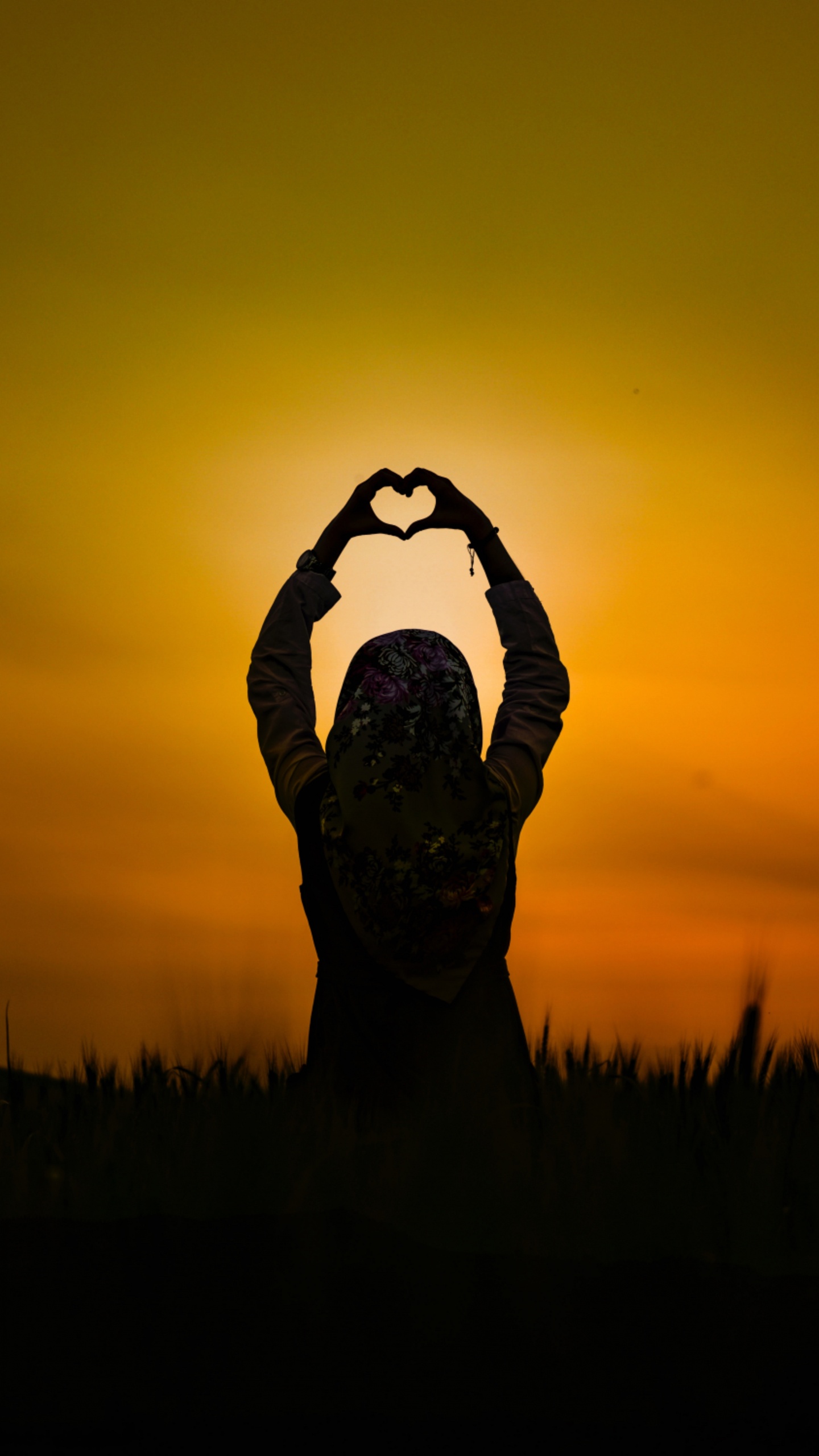 Silhouette, Sonnenuntergang, Menschen in Der Natur, Orange, Gras. Wallpaper in 1440x2560 Resolution