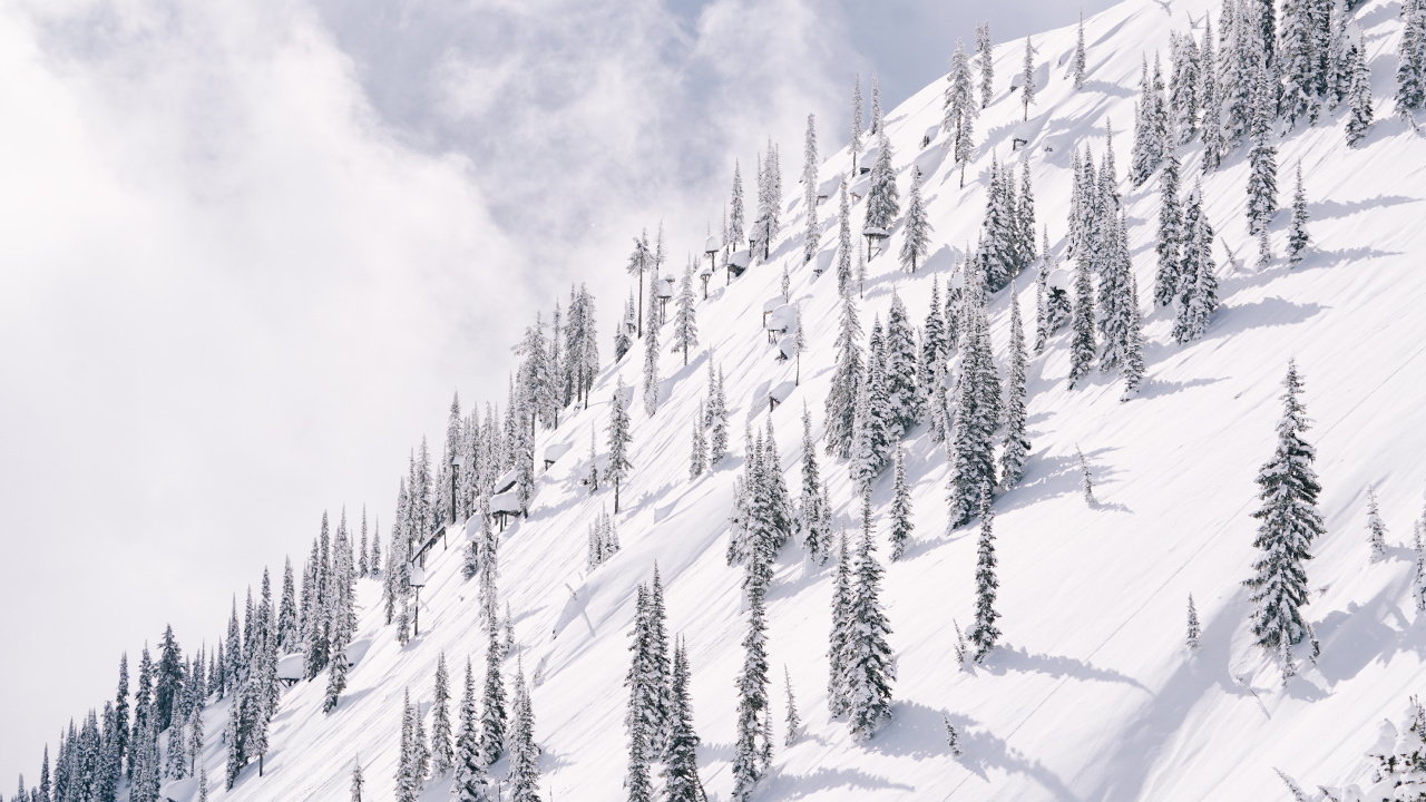 Schnee, Winter, Baum, Piste, Einfrieren. Wallpaper in 1280x720 Resolution