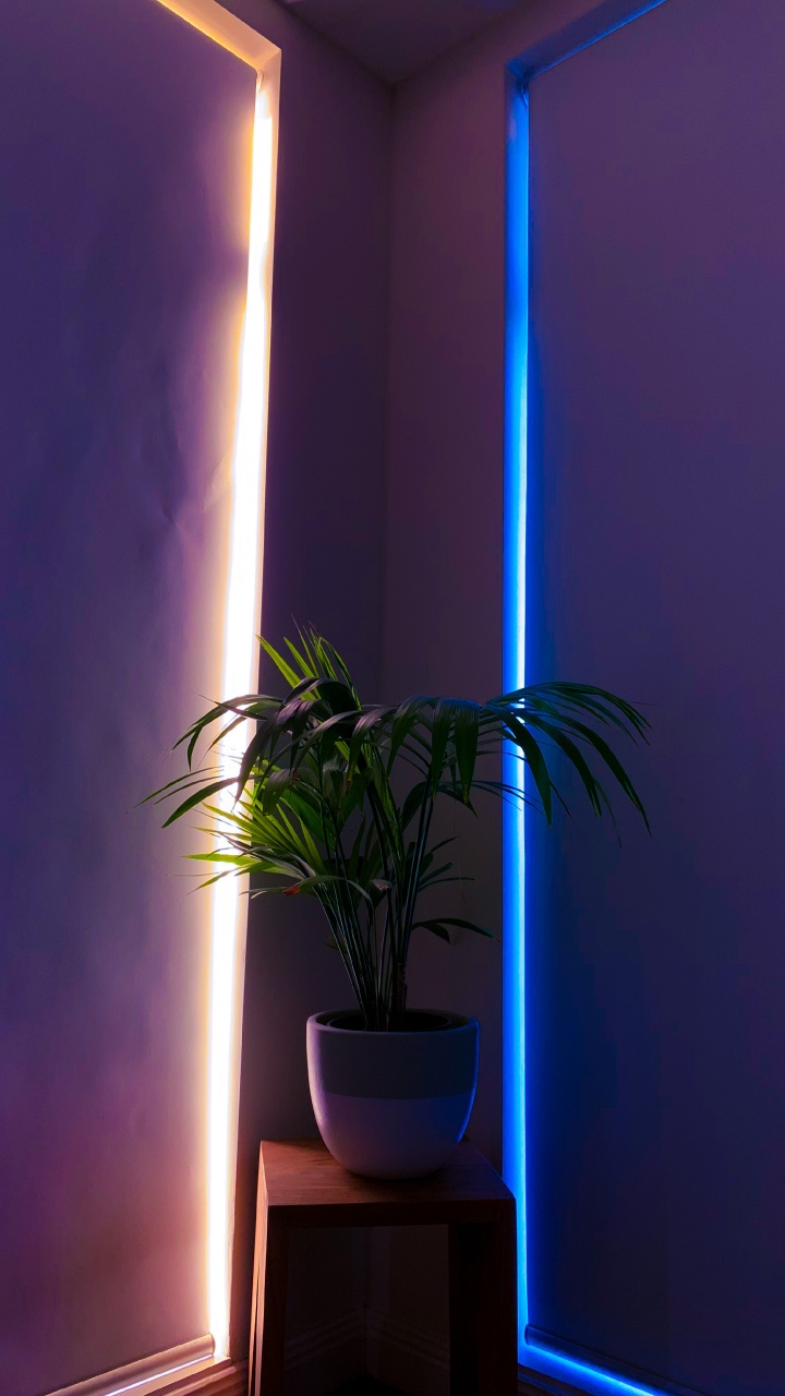 Green Plant on White Ceramic Pot. Wallpaper in 720x1280 Resolution
