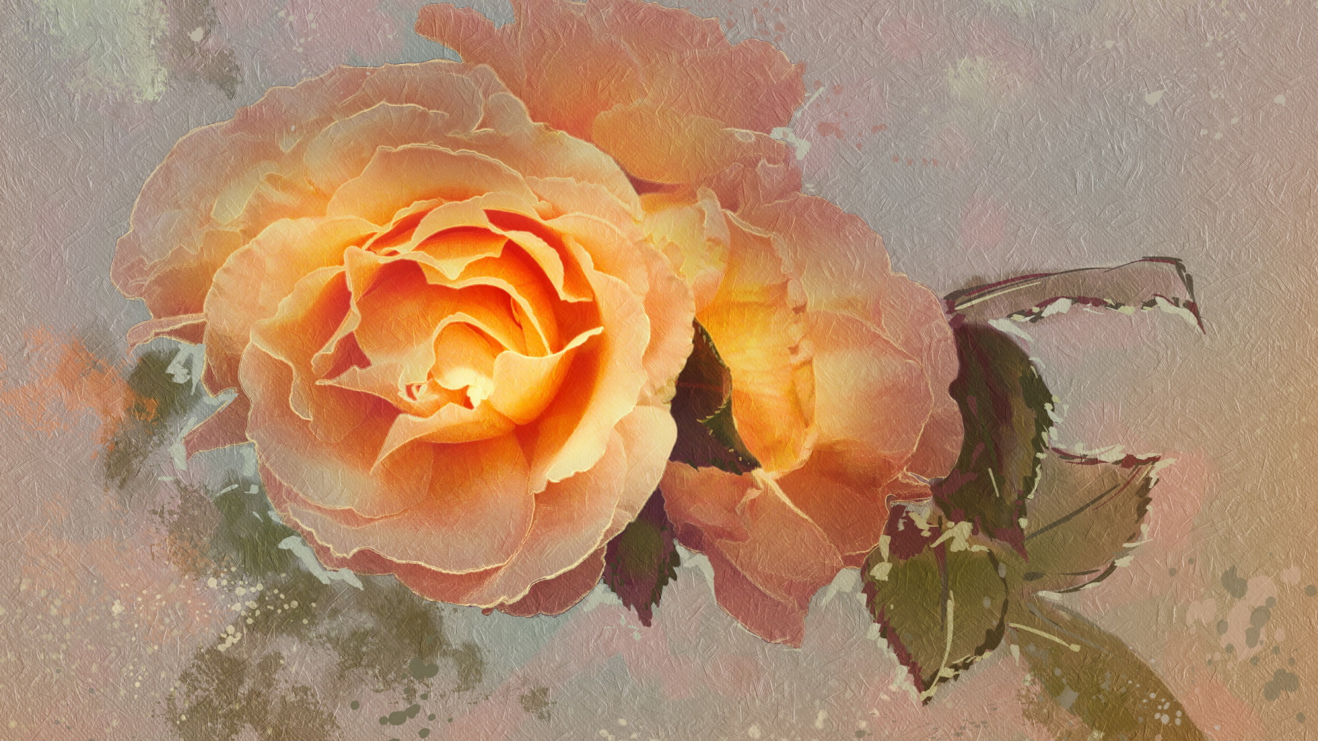 Rose Jaune Sur L'eau Avec Des Feuilles. Wallpaper in 1920x1080 Resolution