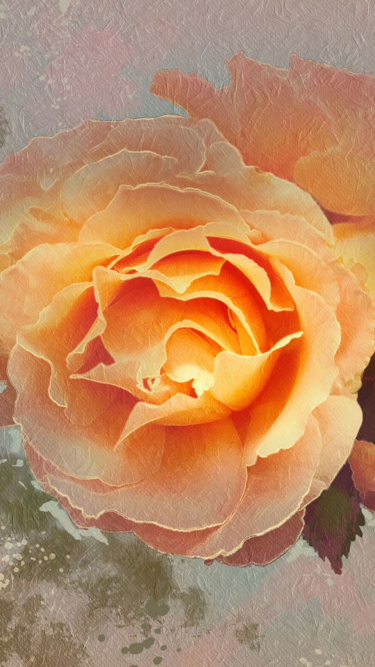 Gelbe Rose Auf Wasser Mit Blättern. Wallpaper in 750x1334 Resolution