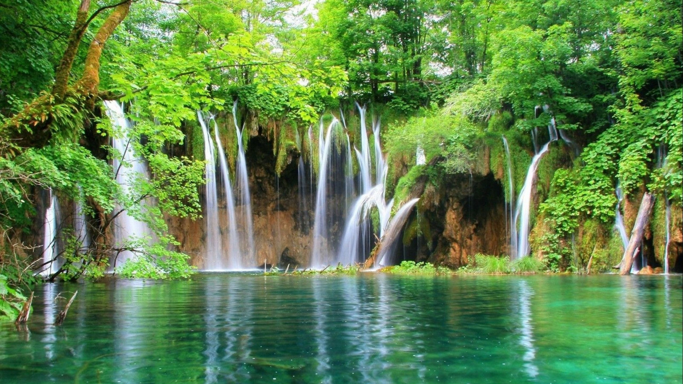 L'eau Tombe au Milieu Des Arbres Verts. Wallpaper in 1366x768 Resolution