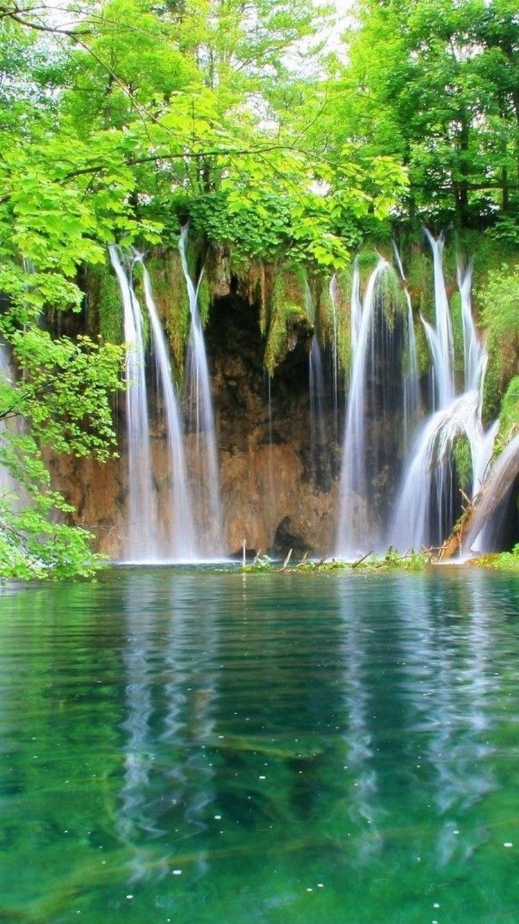 L'eau Tombe au Milieu Des Arbres Verts. Wallpaper in 750x1334 Resolution