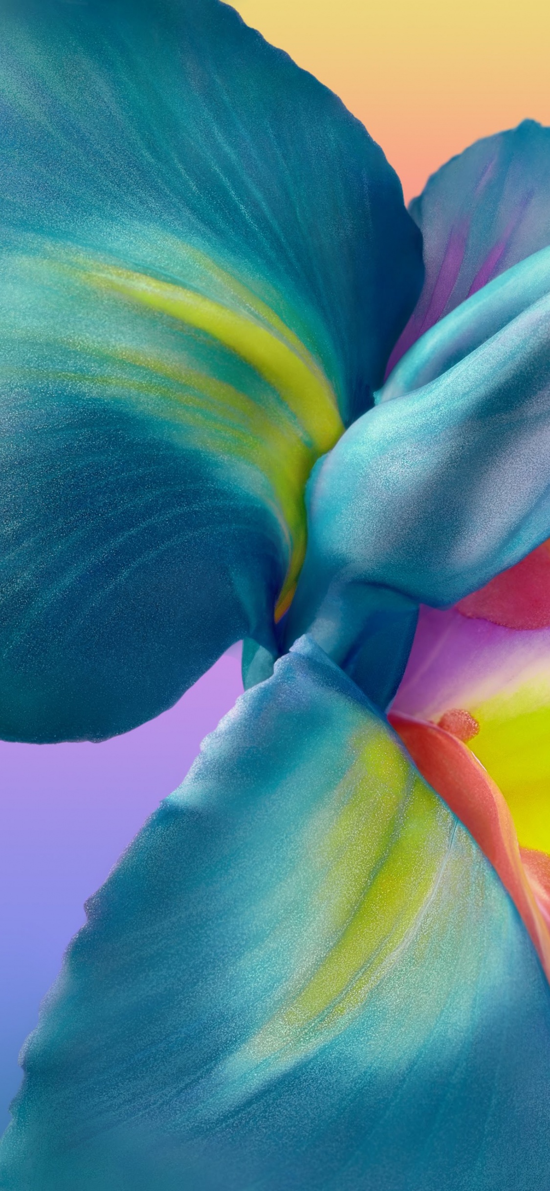 Huawei, Huawei P40 Pro, Huawei P40 Pro Hintergrundbilder, Huawei P40, Huawei Mate 30. Wallpaper in 1125x2436 Resolution