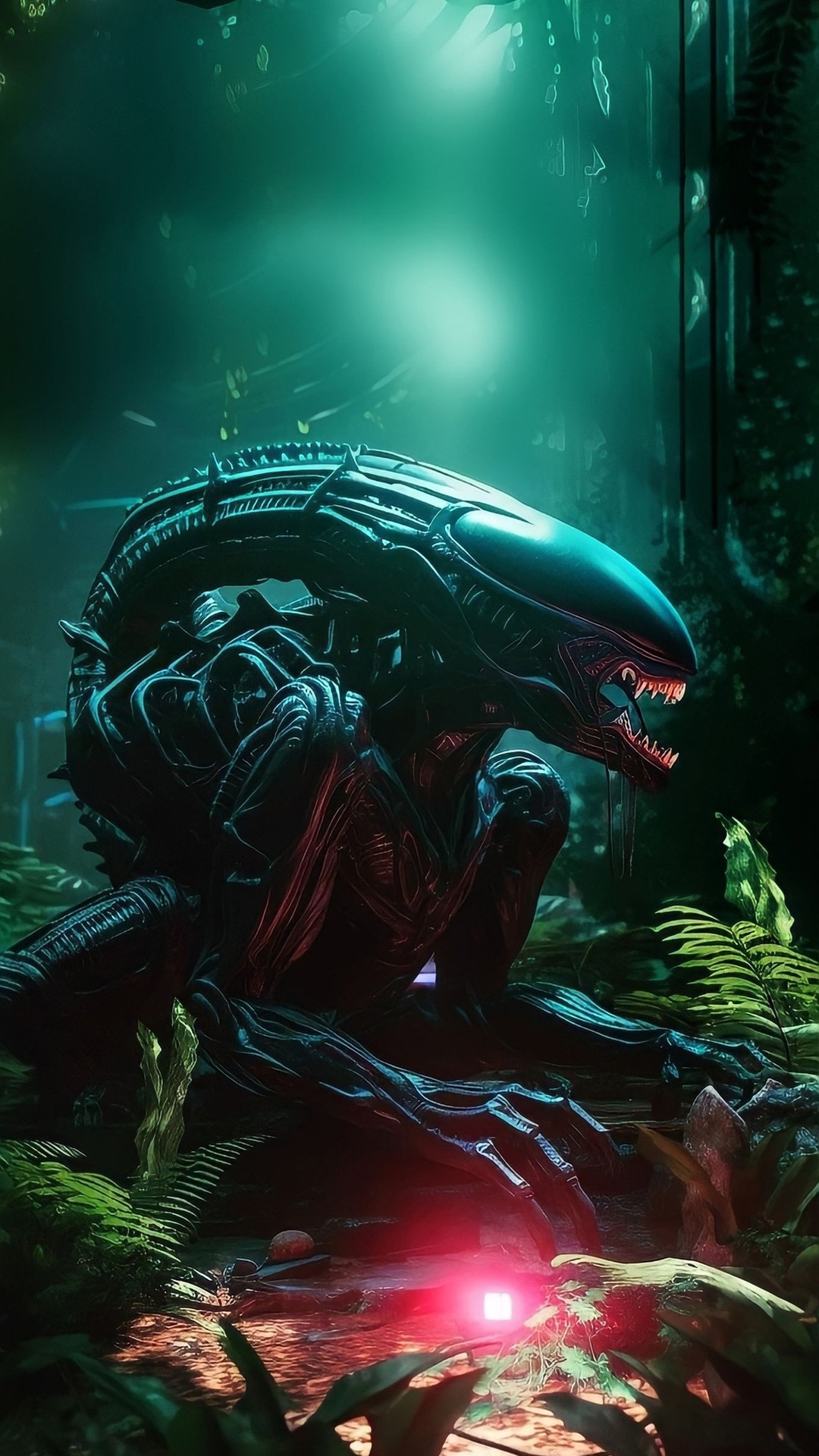 Underwater, Biology, Marine Biology, Old Growth Forest, Growth. Wallpaper in 1080x1920 Resolution