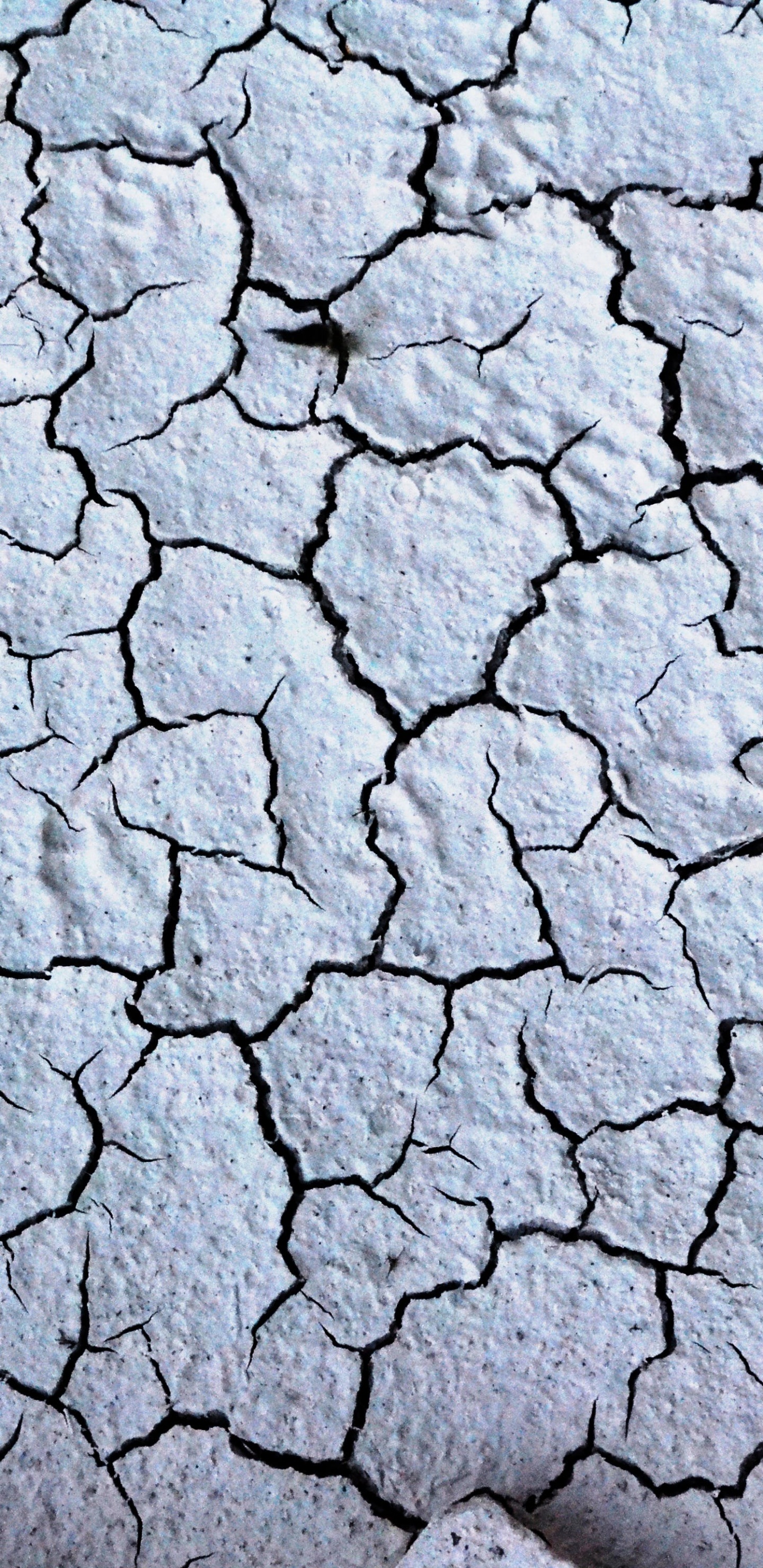 Sol en Béton Blanc et Gris. Wallpaper in 1440x2960 Resolution