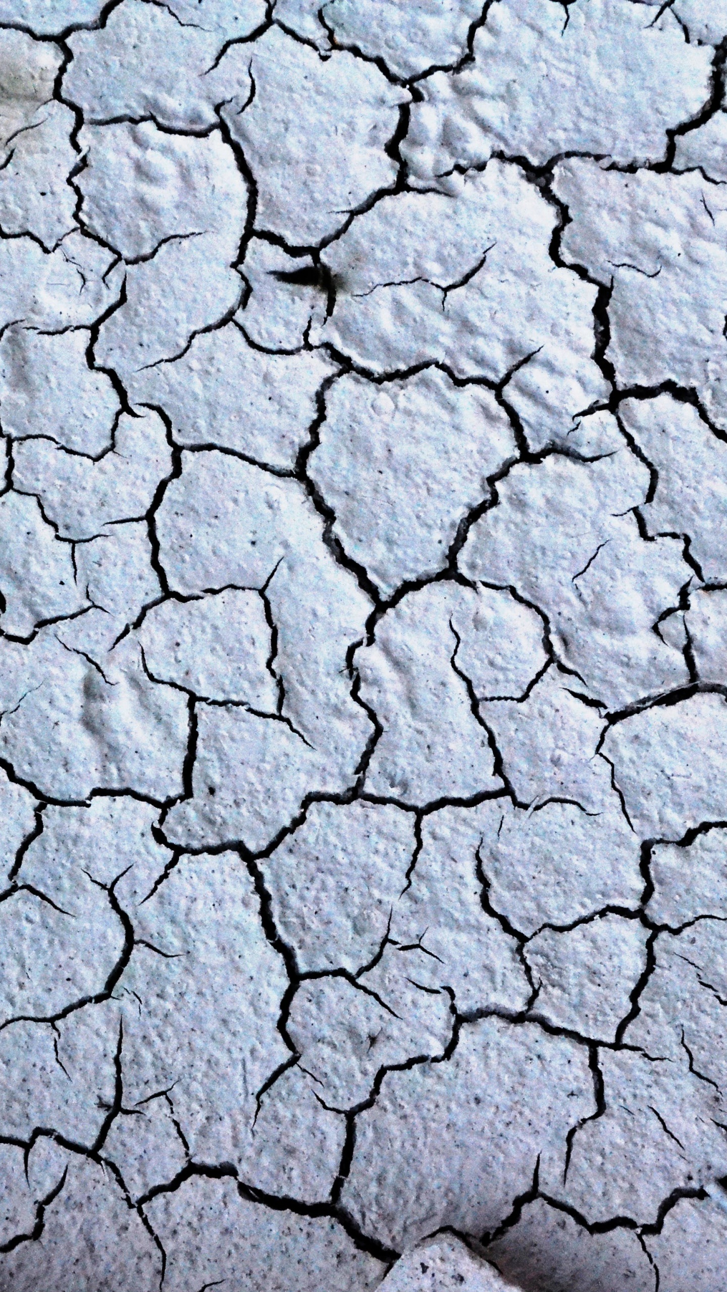 White and Gray Concrete Floor. Wallpaper in 1440x2560 Resolution