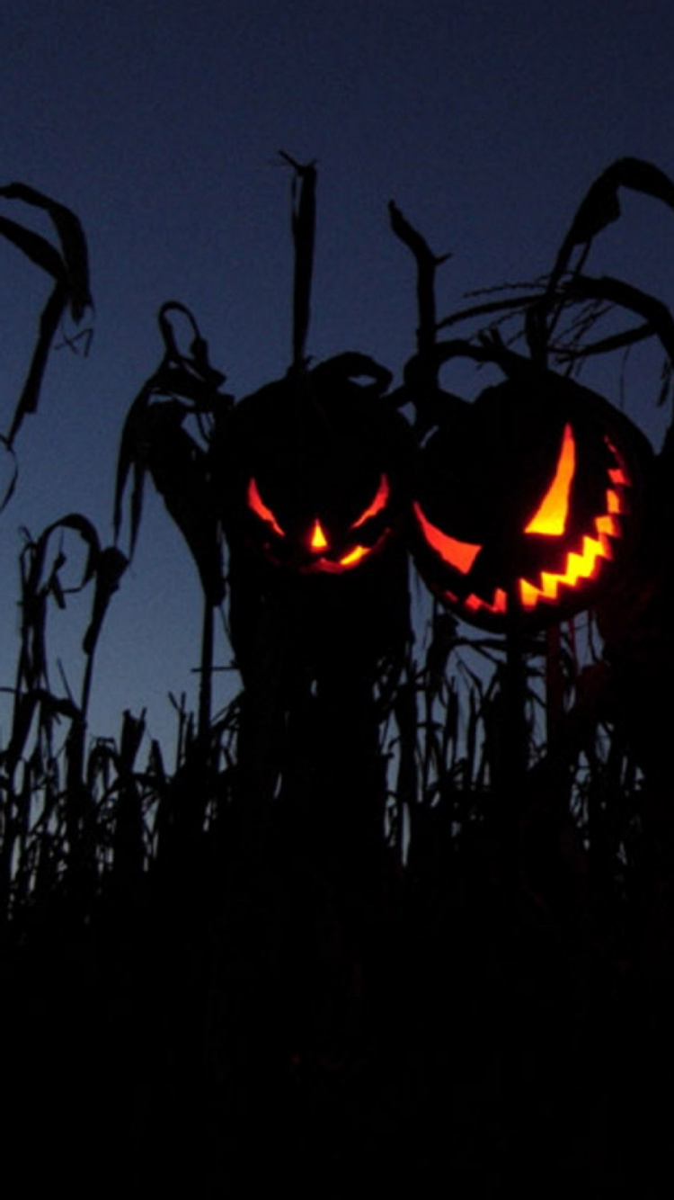 Halloween Horror Nights, Nacht, Mitternacht, Film, Himmel. Wallpaper in 750x1334 Resolution