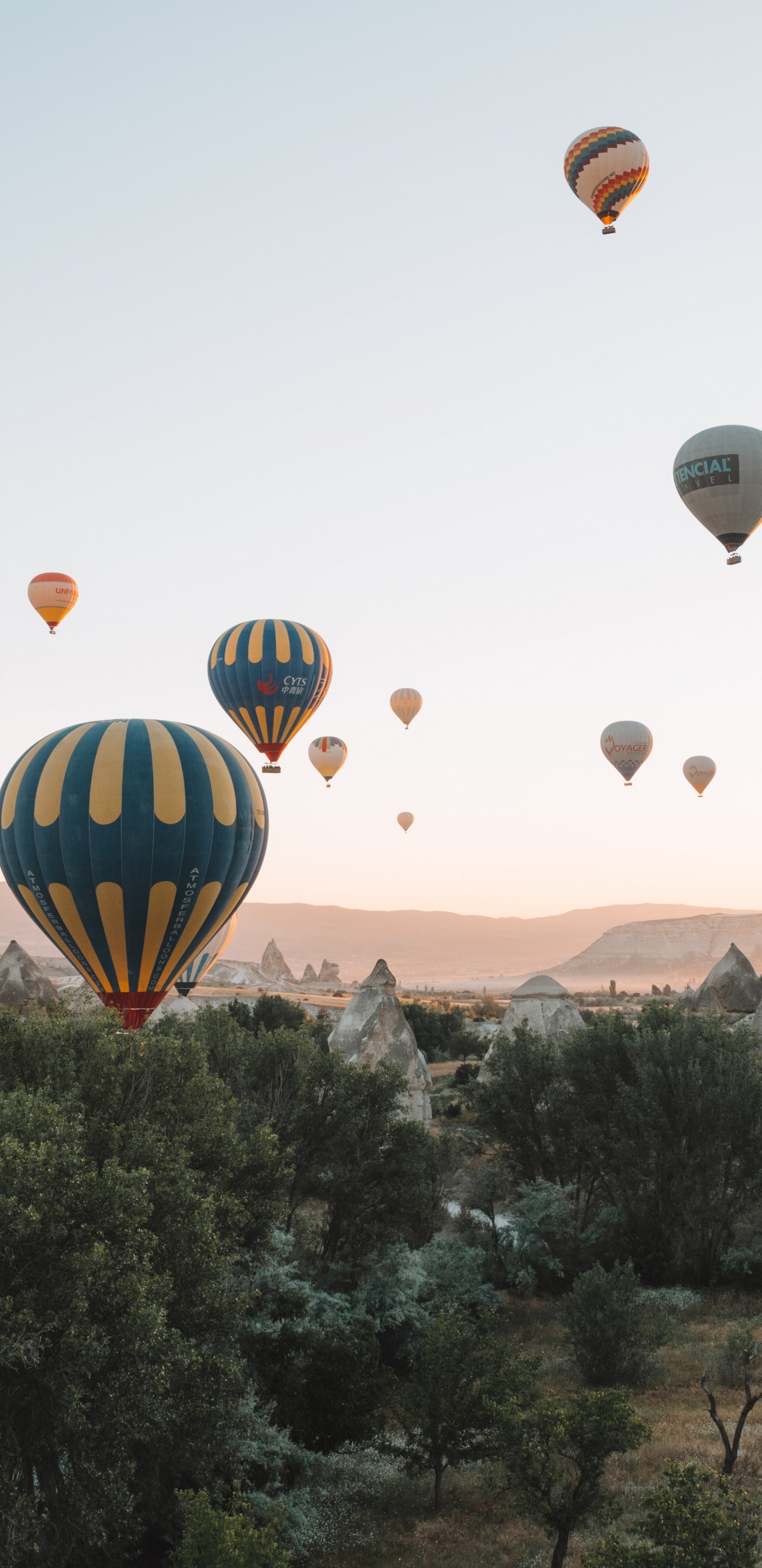 Globos de Aire Caliente Volando Sobre Árboles Verdes Durante el Día.. Wallpaper in 1440x2960 Resolution