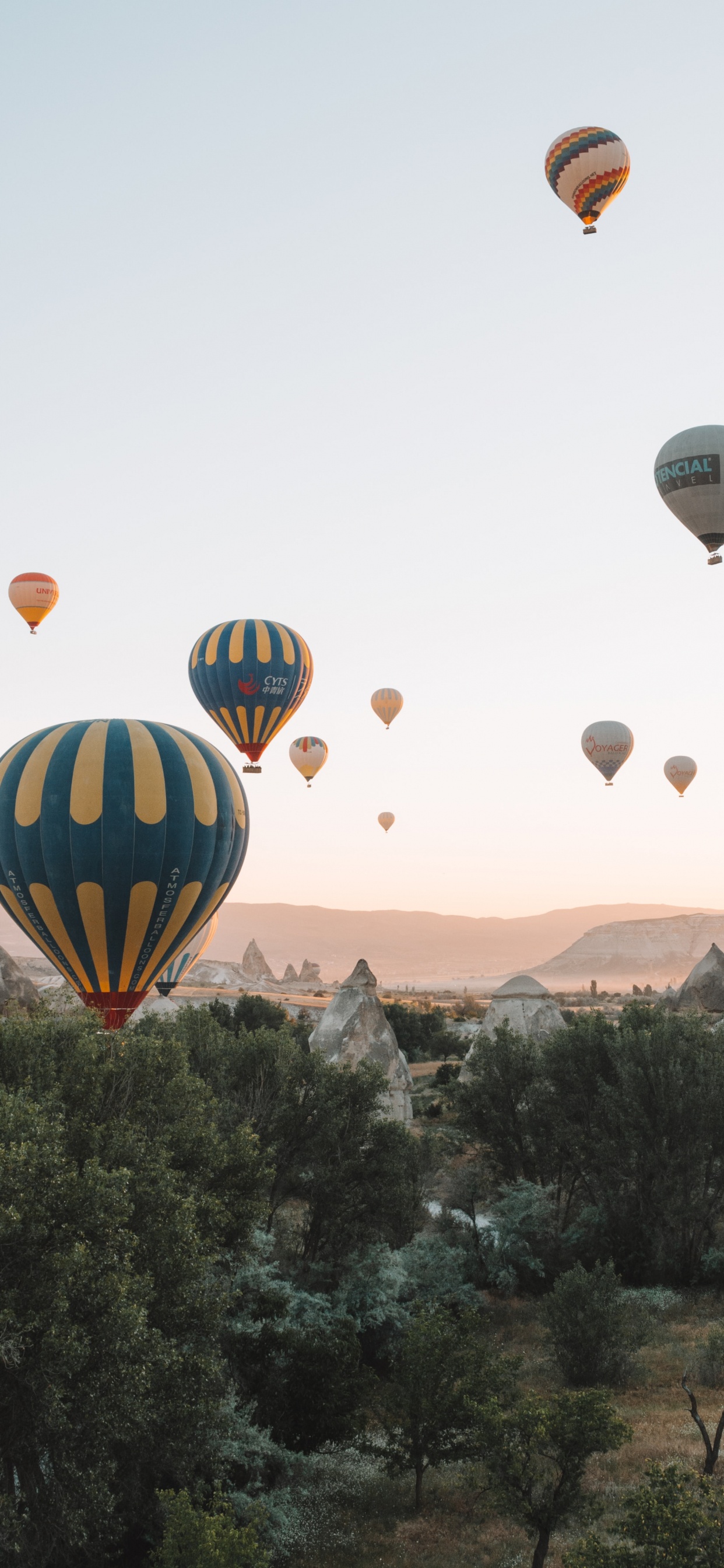Hot Air Balloons Flying Over Green Trees During Daytime. Wallpaper in 1242x2688 Resolution