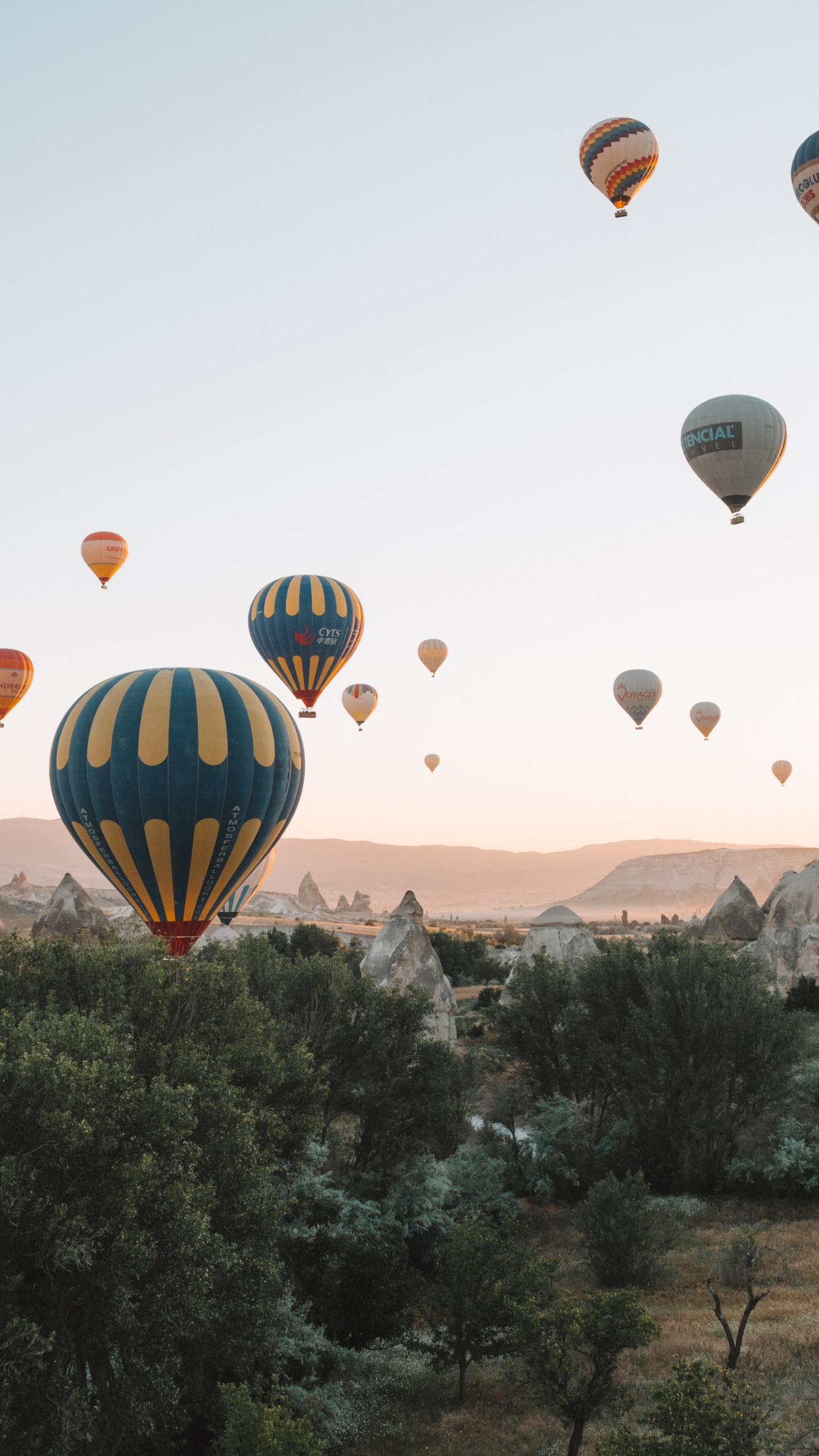 Hot Air Balloons Flying Over Green Trees During Daytime. Wallpaper in 1440x2560 Resolution