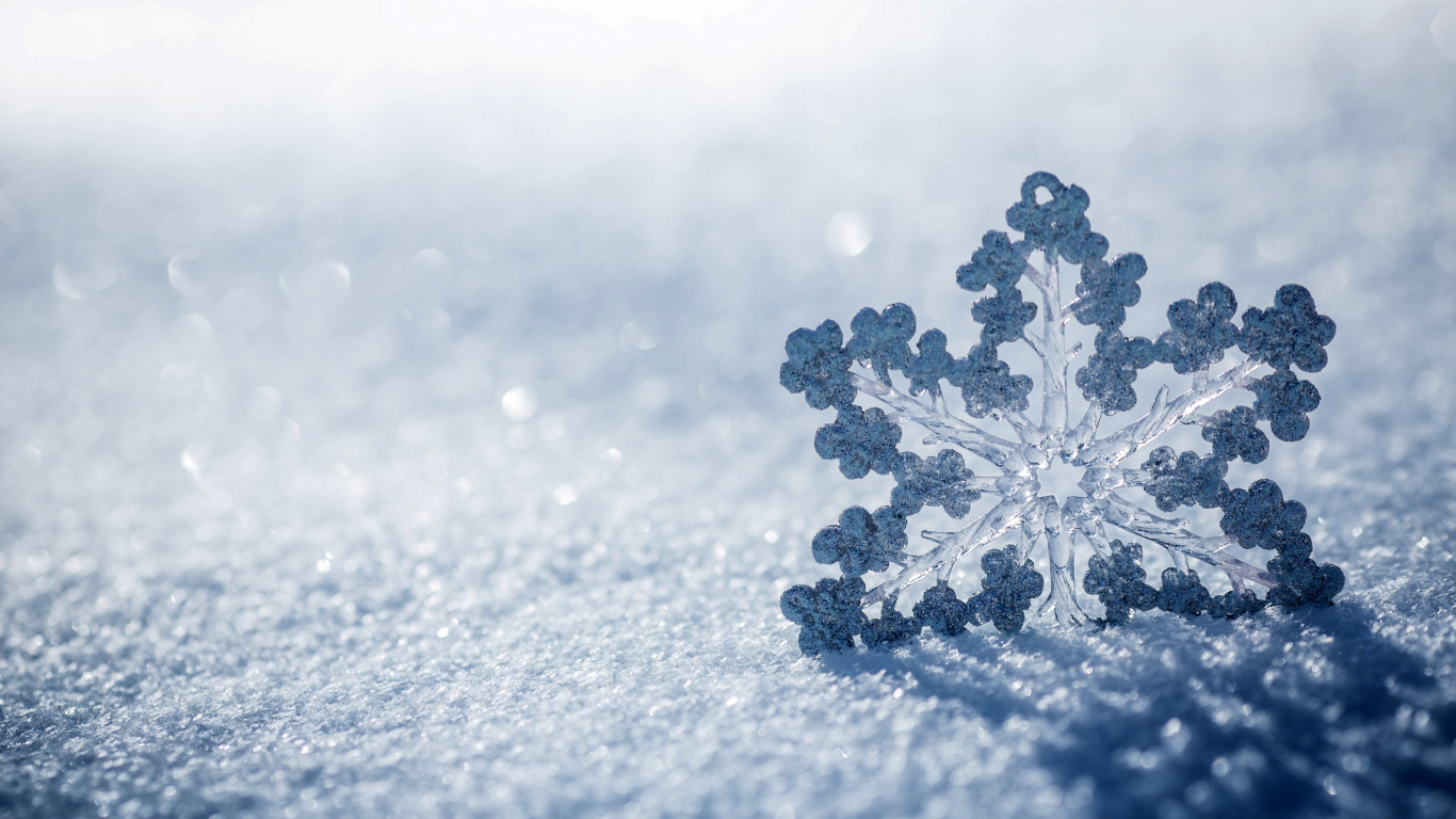 White Snow Flakes on Gray Sand. Wallpaper in 1366x768 Resolution