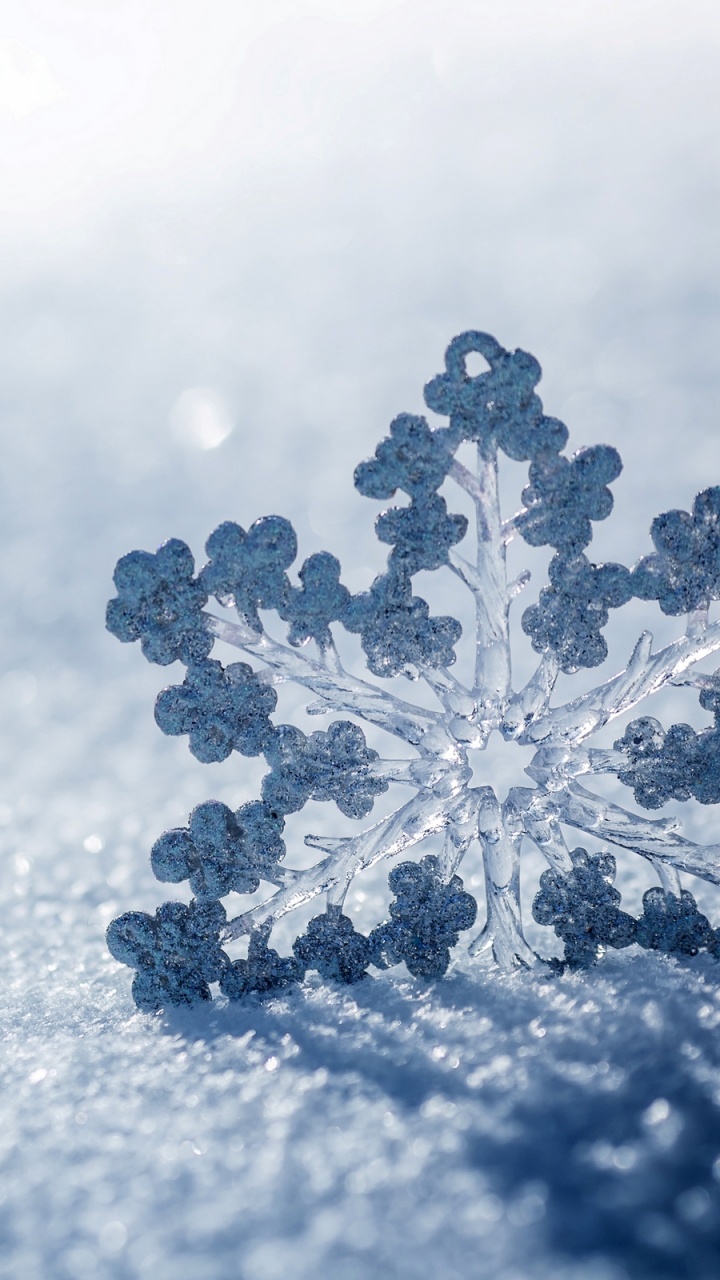 White Snow Flakes on Gray Sand. Wallpaper in 720x1280 Resolution