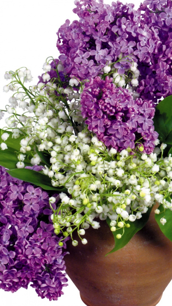 Purple Flowers on Brown Vase. Wallpaper in 720x1280 Resolution