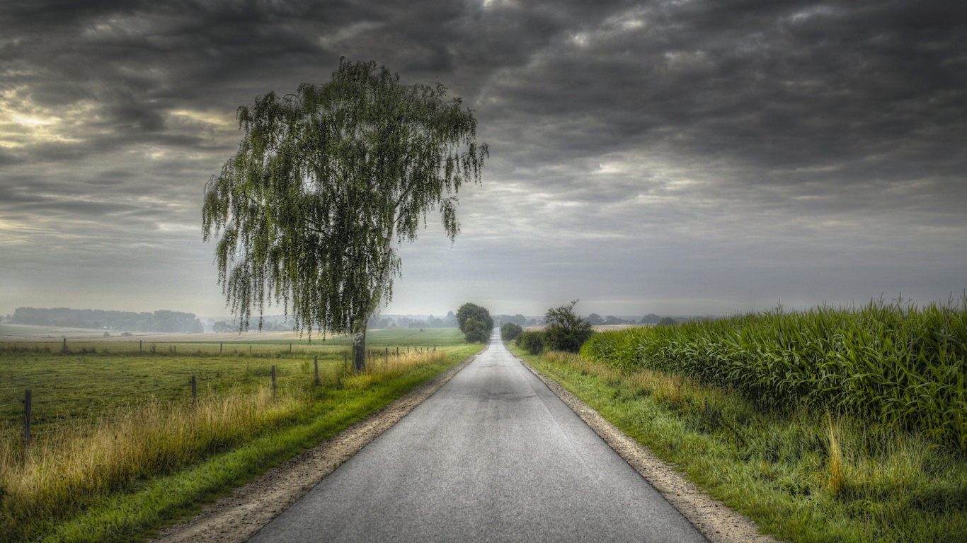 Gray Asphalt Road Between Green Grass Field Under Gray Cloudy Sky During Daytime. Wallpaper in 1366x768 Resolution