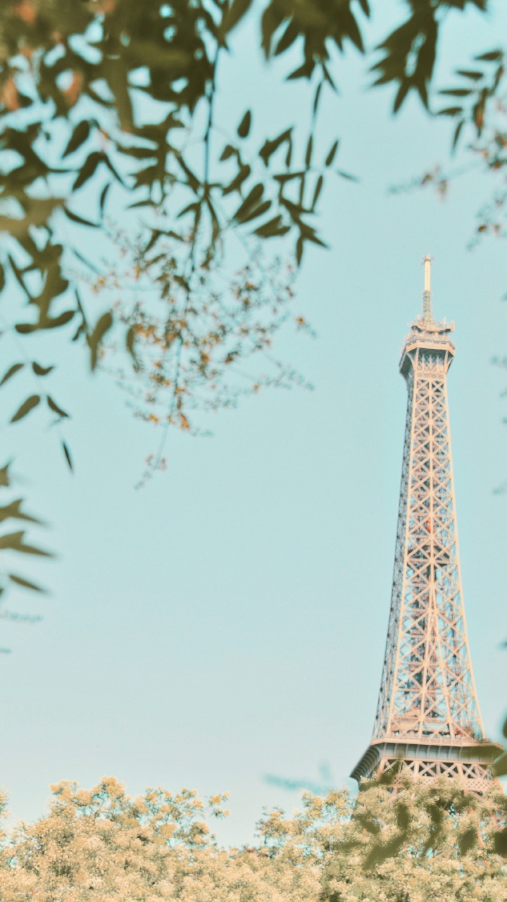 Torre Eiffel en París Durante el Día. Wallpaper in 720x1280 Resolution