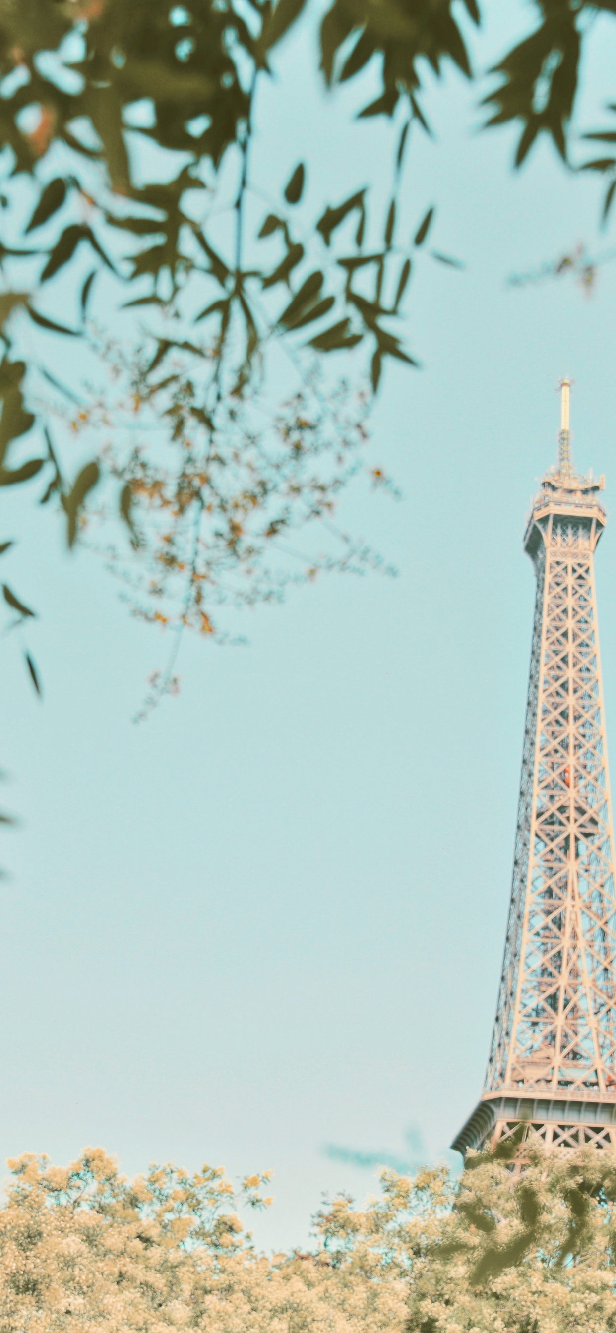 Tour Eiffel à Paris Pendant la Journée. Wallpaper in 1242x2688 Resolution