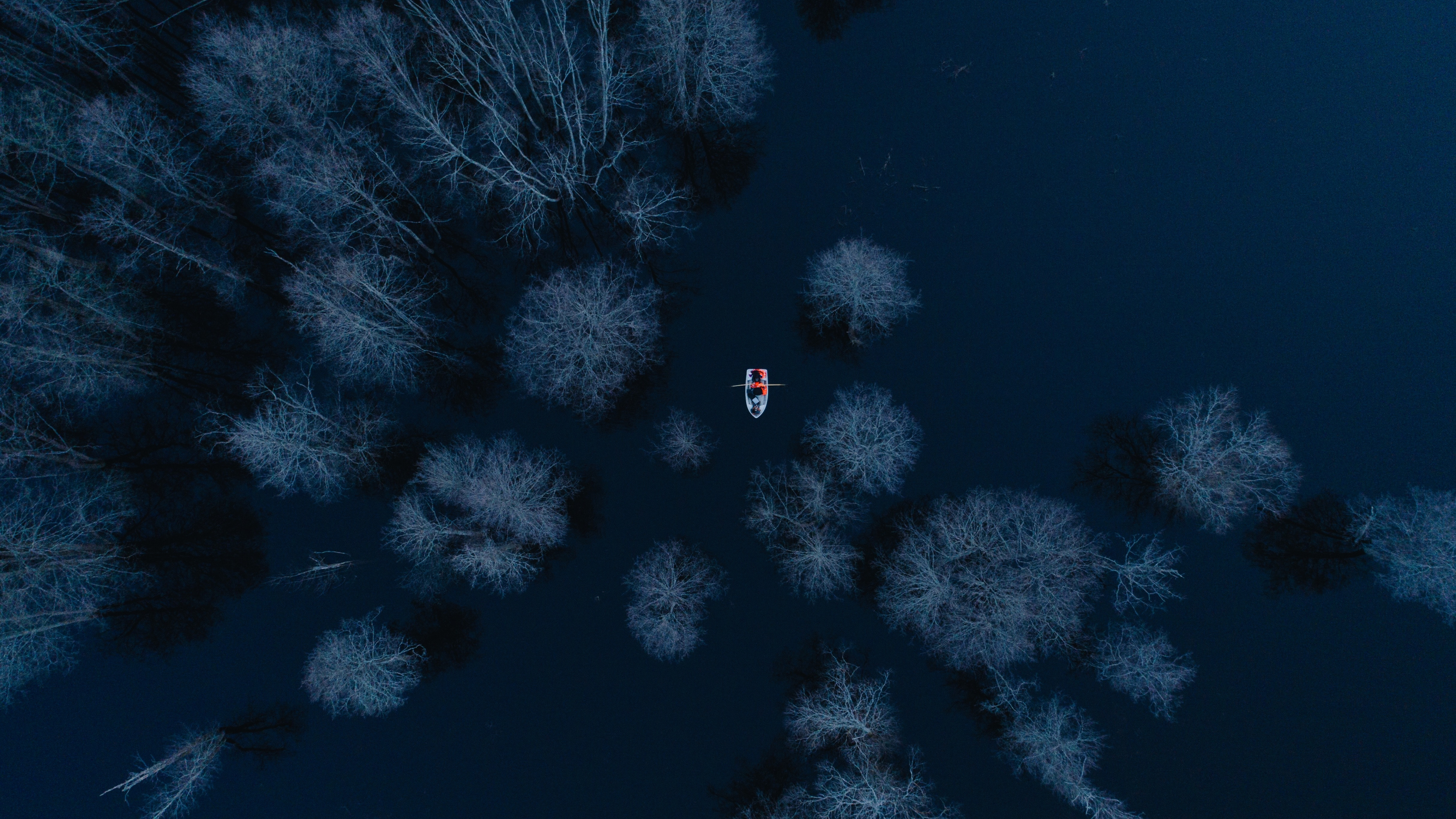 White Snow Covered Trees During Night Time. Wallpaper in 3840x2160 Resolution