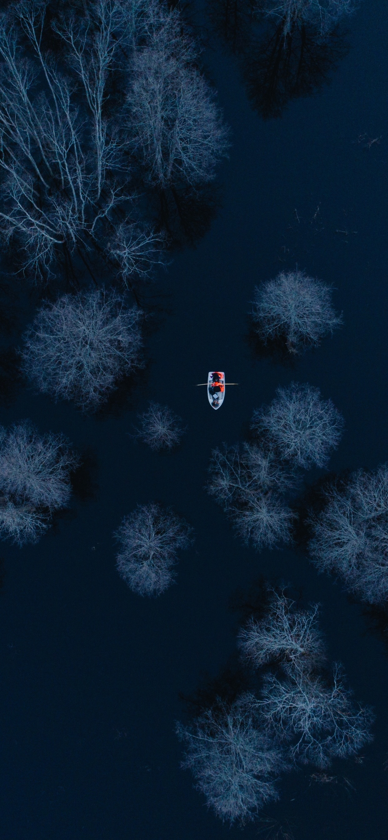 Weiße Schneebedeckte Bäume Während Der Nacht Night. Wallpaper in 1242x2688 Resolution