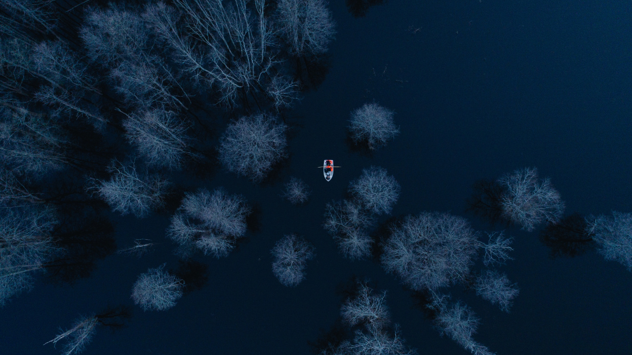 Weiße Schneebedeckte Bäume Während Der Nacht Night. Wallpaper in 1280x720 Resolution