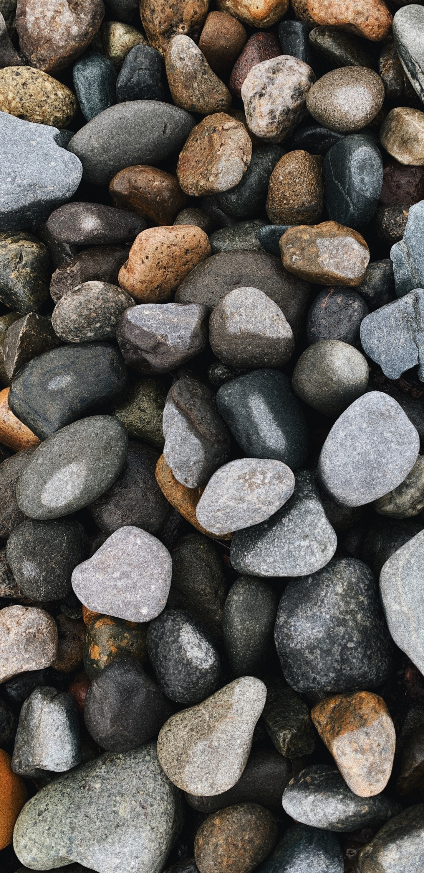 Pebble, Gravel, Telephone, Smartphone, White. Wallpaper in 1440x2960 Resolution