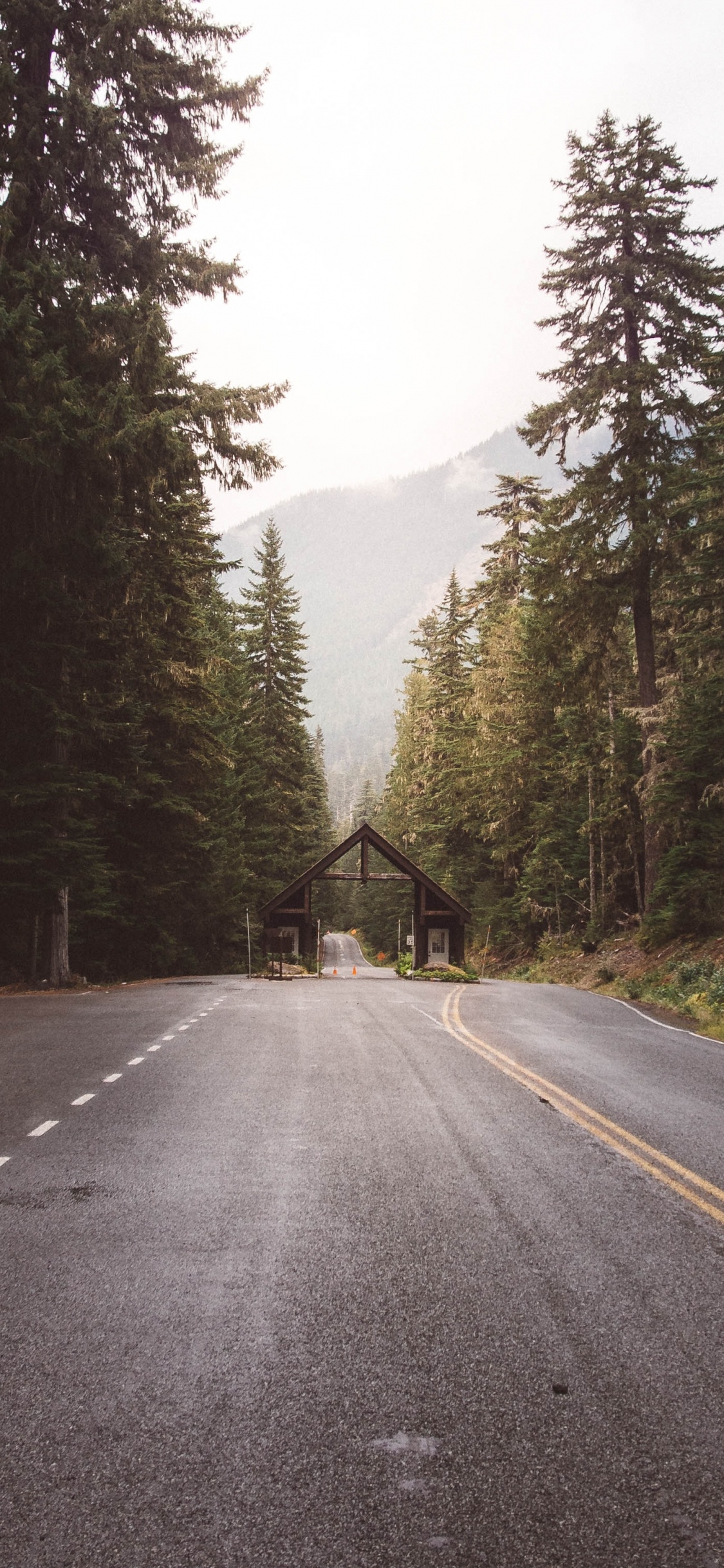 Mount Rainier National Park, Fahrbahn, Straßenreise, Himmel, Sonnenlicht. Wallpaper in 1125x2436 Resolution