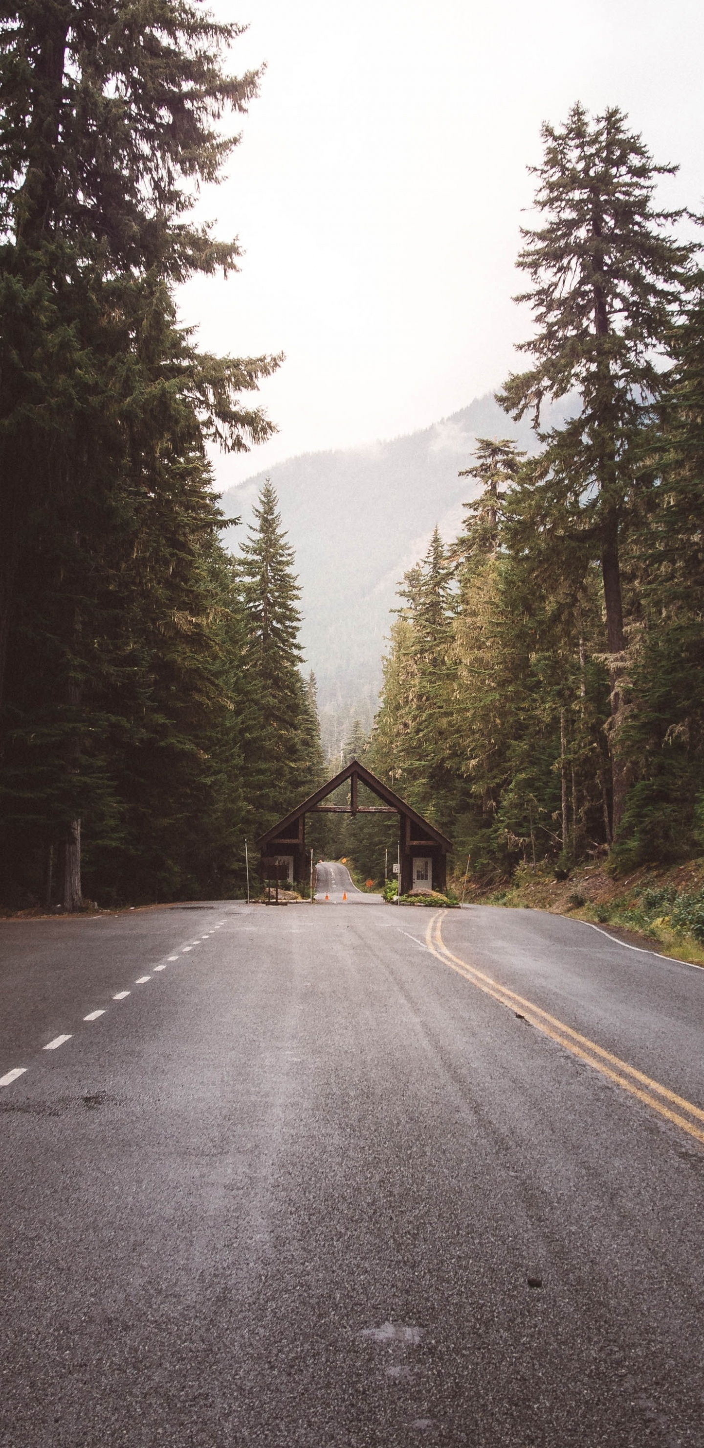 Mount Rainier National Park, Fahrbahn, Straßenreise, Himmel, Sonnenlicht. Wallpaper in 1440x2960 Resolution