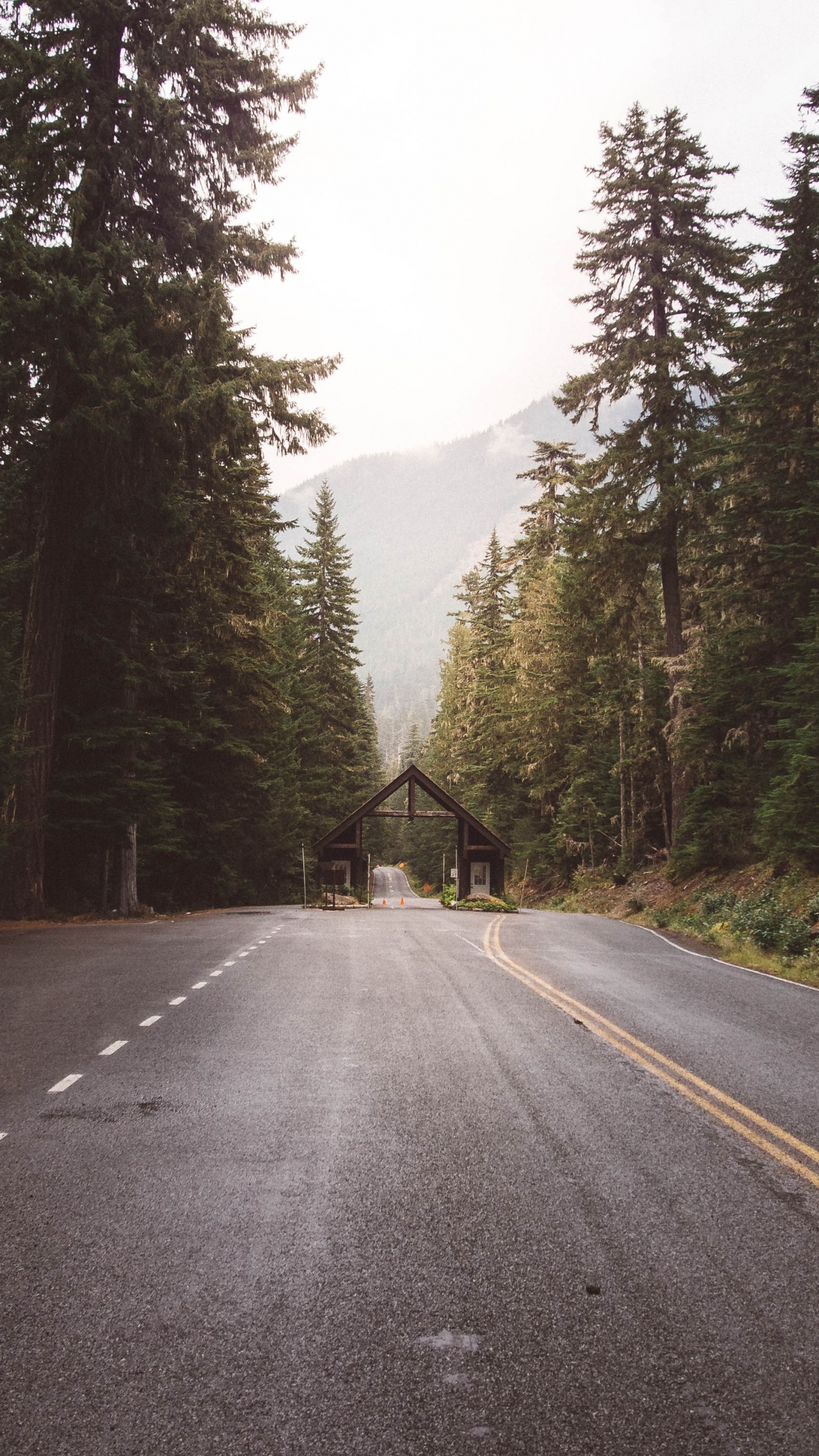 Mount Rainier National Park, Road Surface, Road Trip, Sky, Sunlight. Wallpaper in 1440x2560 Resolution