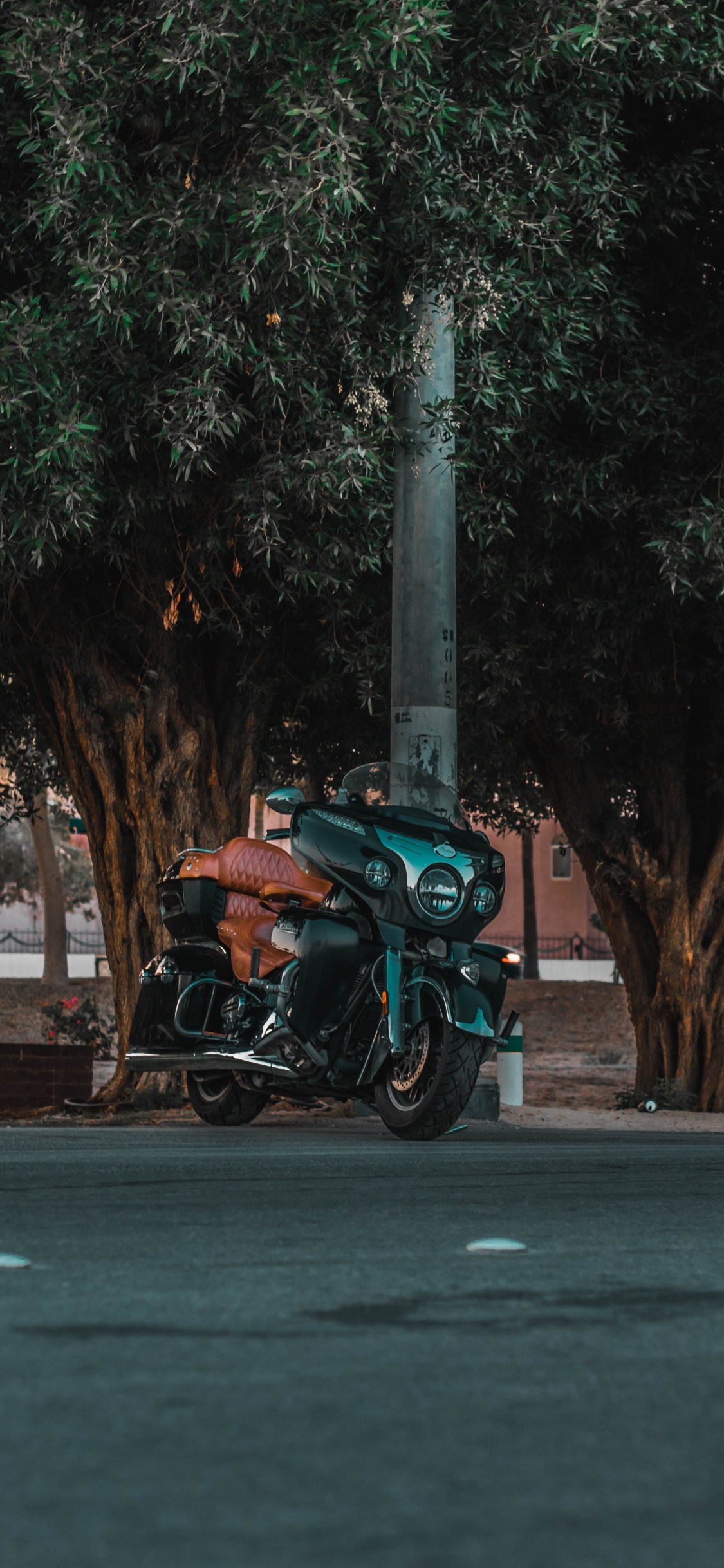 Motocicleta Verde y Negra Estacionada en la Carretera de Hormigón Gris Durante el Día. Wallpaper in 1125x2436 Resolution