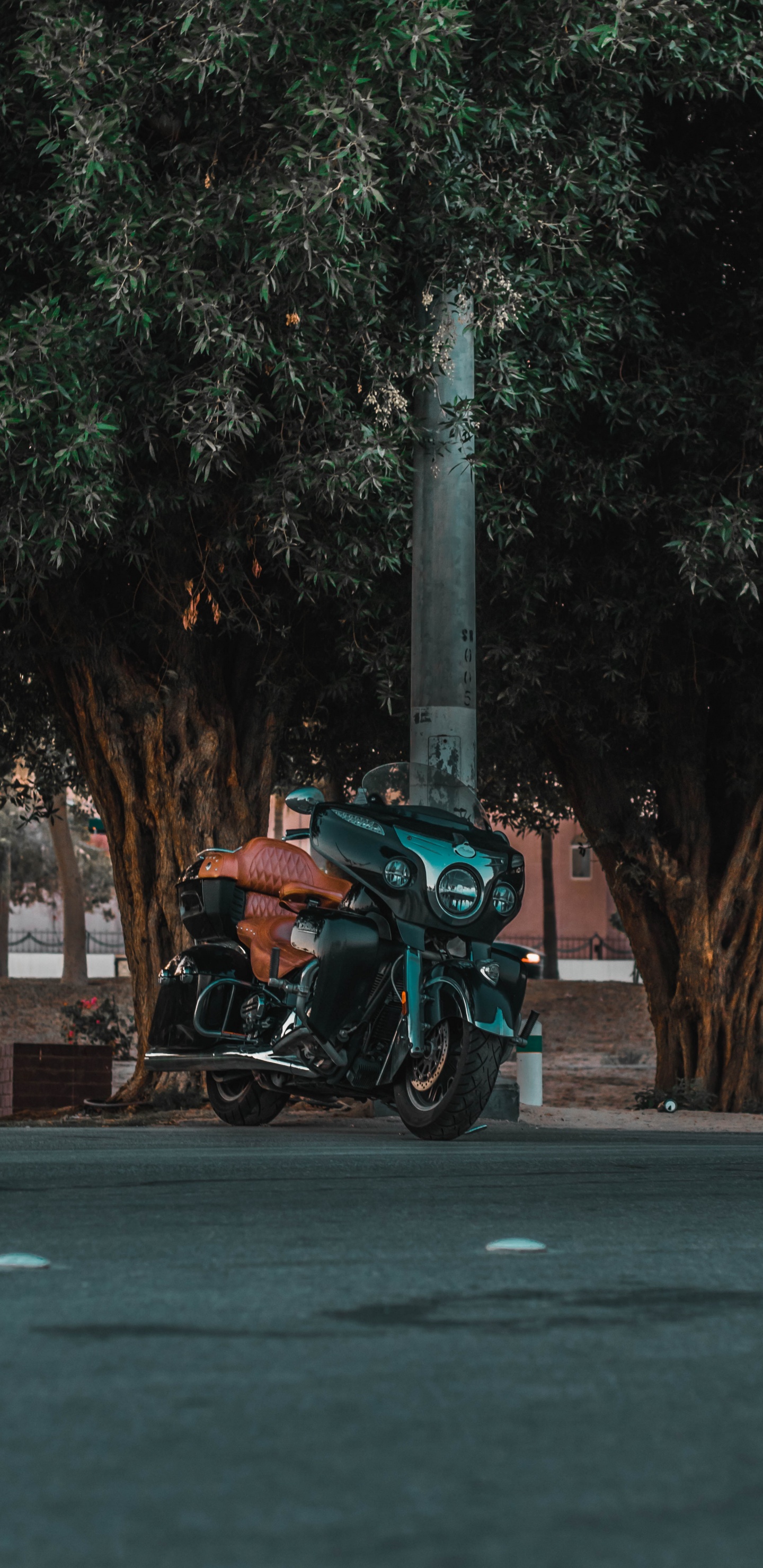 Motocicleta Verde y Negra Estacionada en la Carretera de Hormigón Gris Durante el Día. Wallpaper in 1440x2960 Resolution