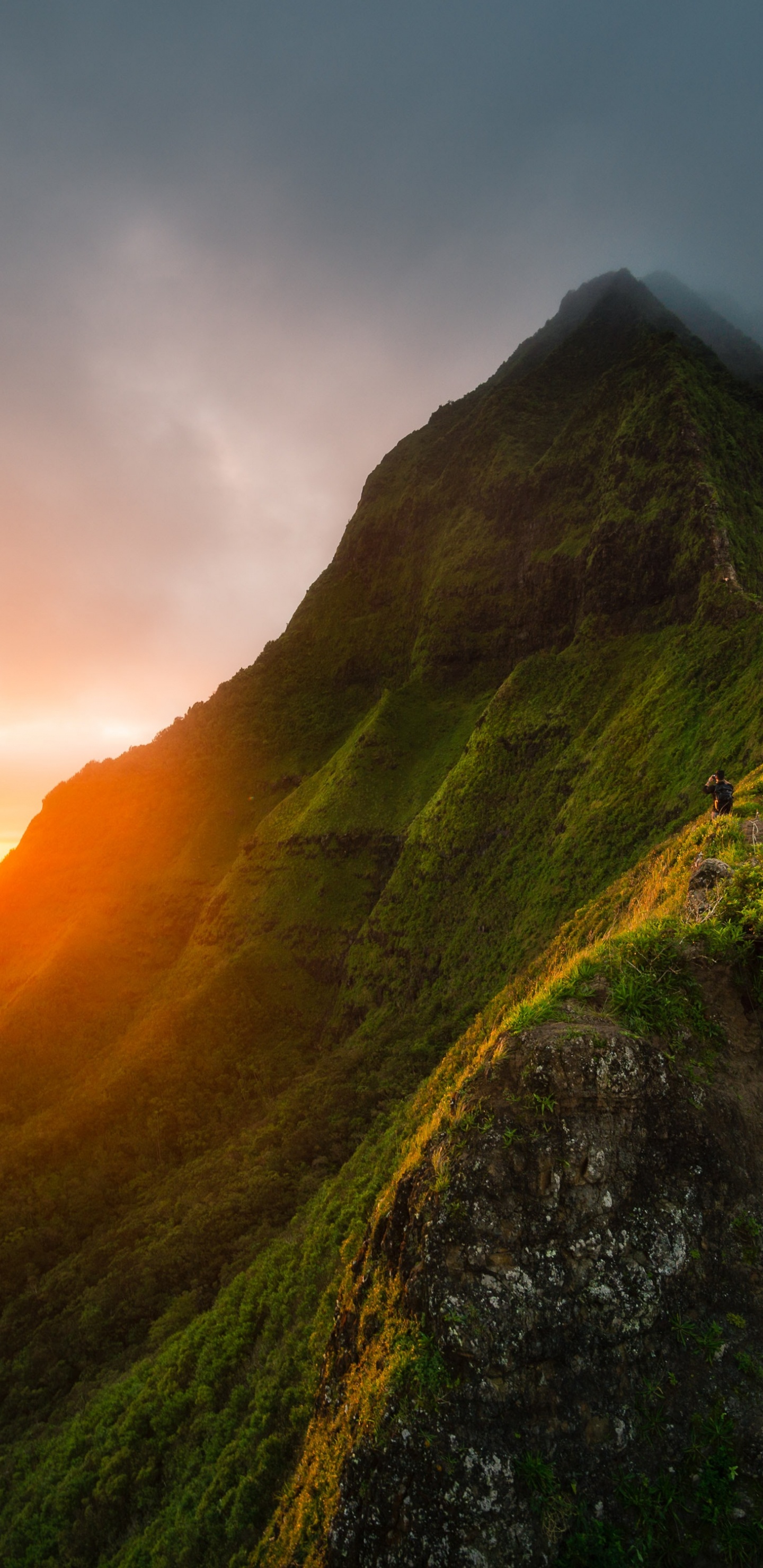 Paysage Naturel, Pente, Highland, Terrain, Les Reliefs Montagneux. Wallpaper in 1440x2960 Resolution