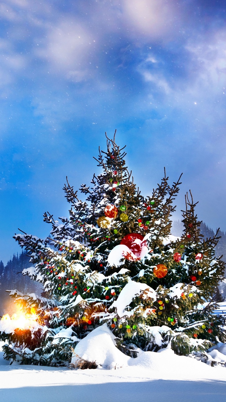 Weihnachtsbaum, Weihnachten, Fir, Schnee, Winter. Wallpaper in 720x1280 Resolution