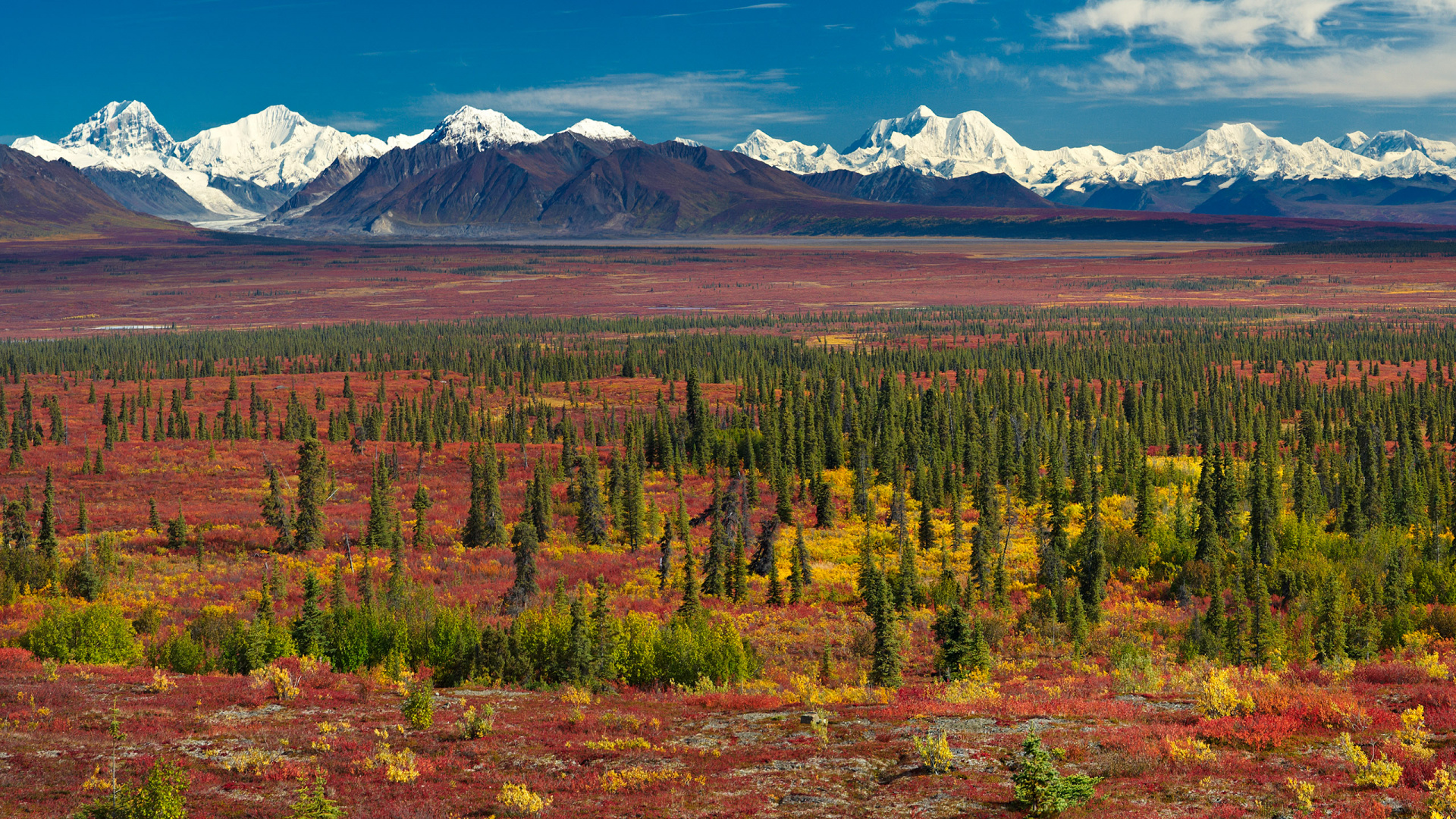 Green and Brown Trees Near Snow Covered Mountain During Daytime. Wallpaper in 1920x1080 Resolution