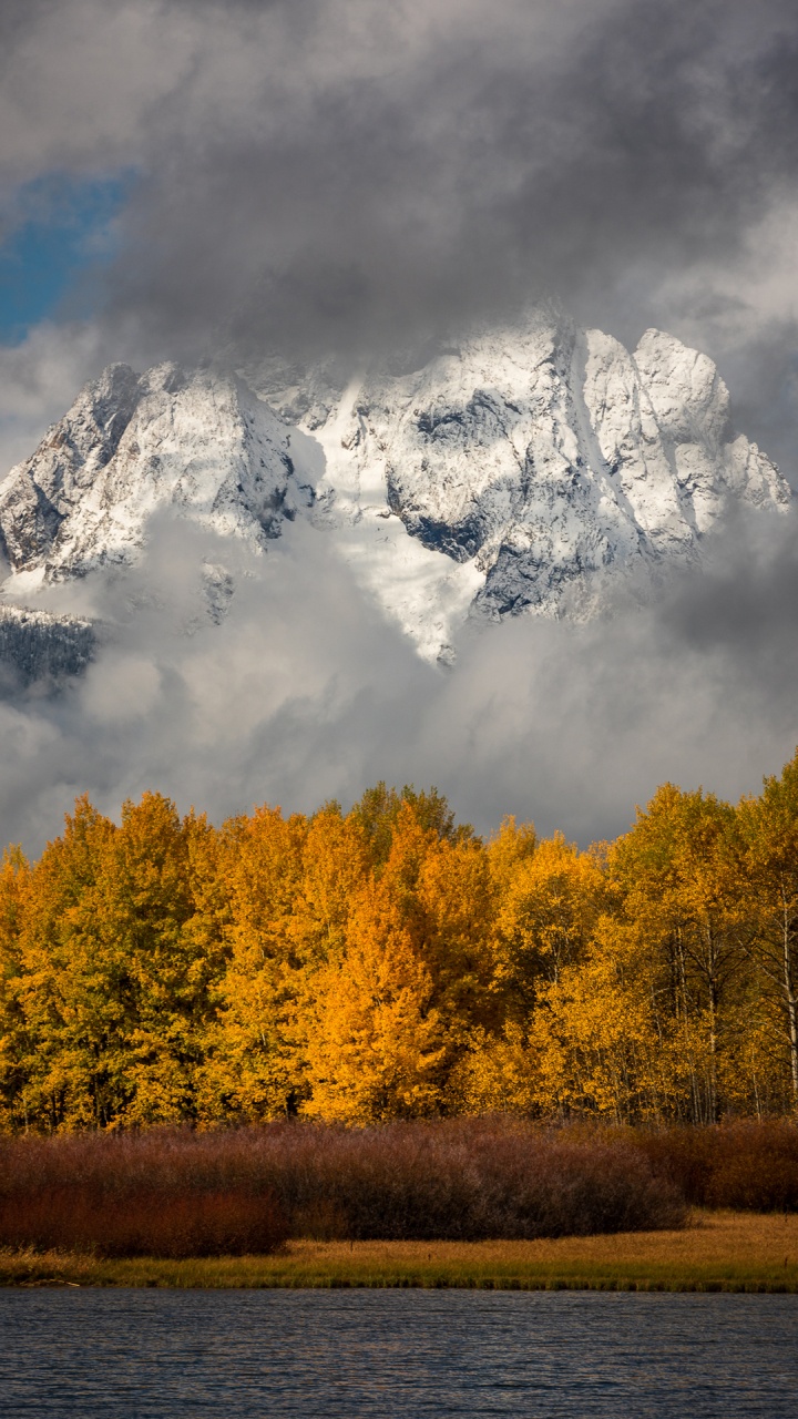 Cloud, Plant, Atmosphere, Mountain, Ecoregion. Wallpaper in 720x1280 Resolution