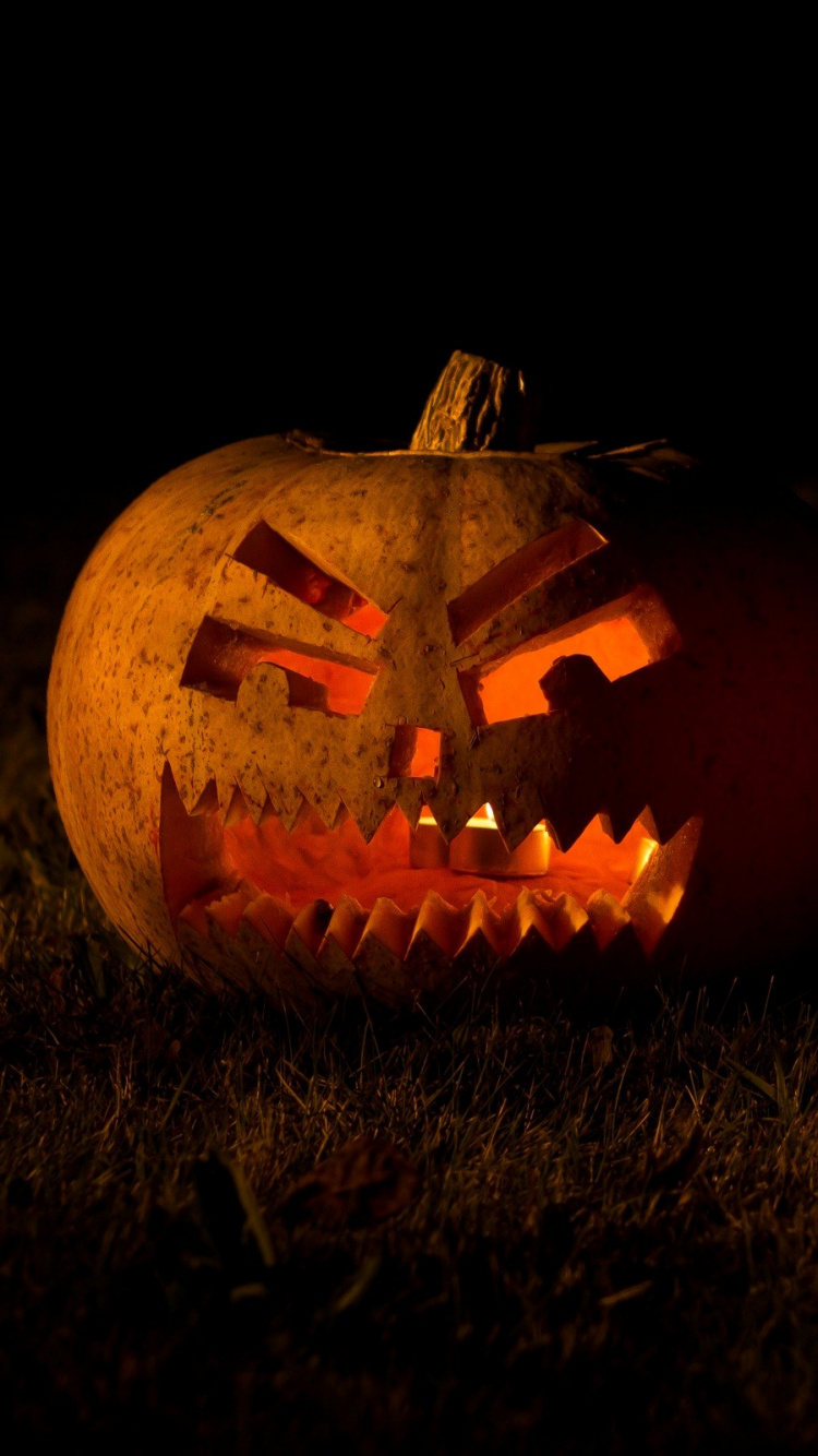 Calabaza, 灯笼, 南瓜, 雕刻, 冬南瓜 壁纸 750x1334 允许