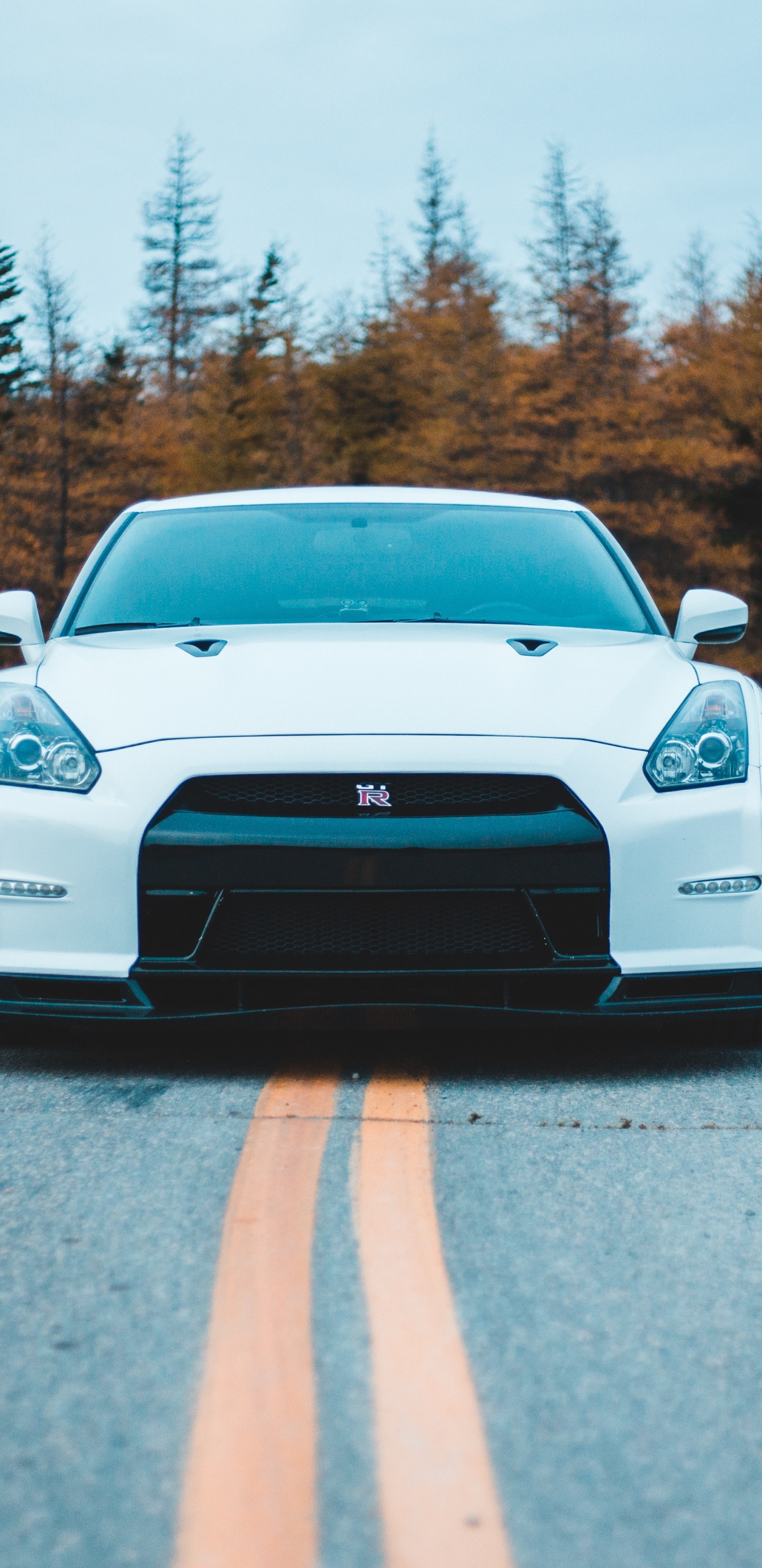 Weißer Porsche 911 Tagsüber Unterwegs. Wallpaper in 1440x2960 Resolution