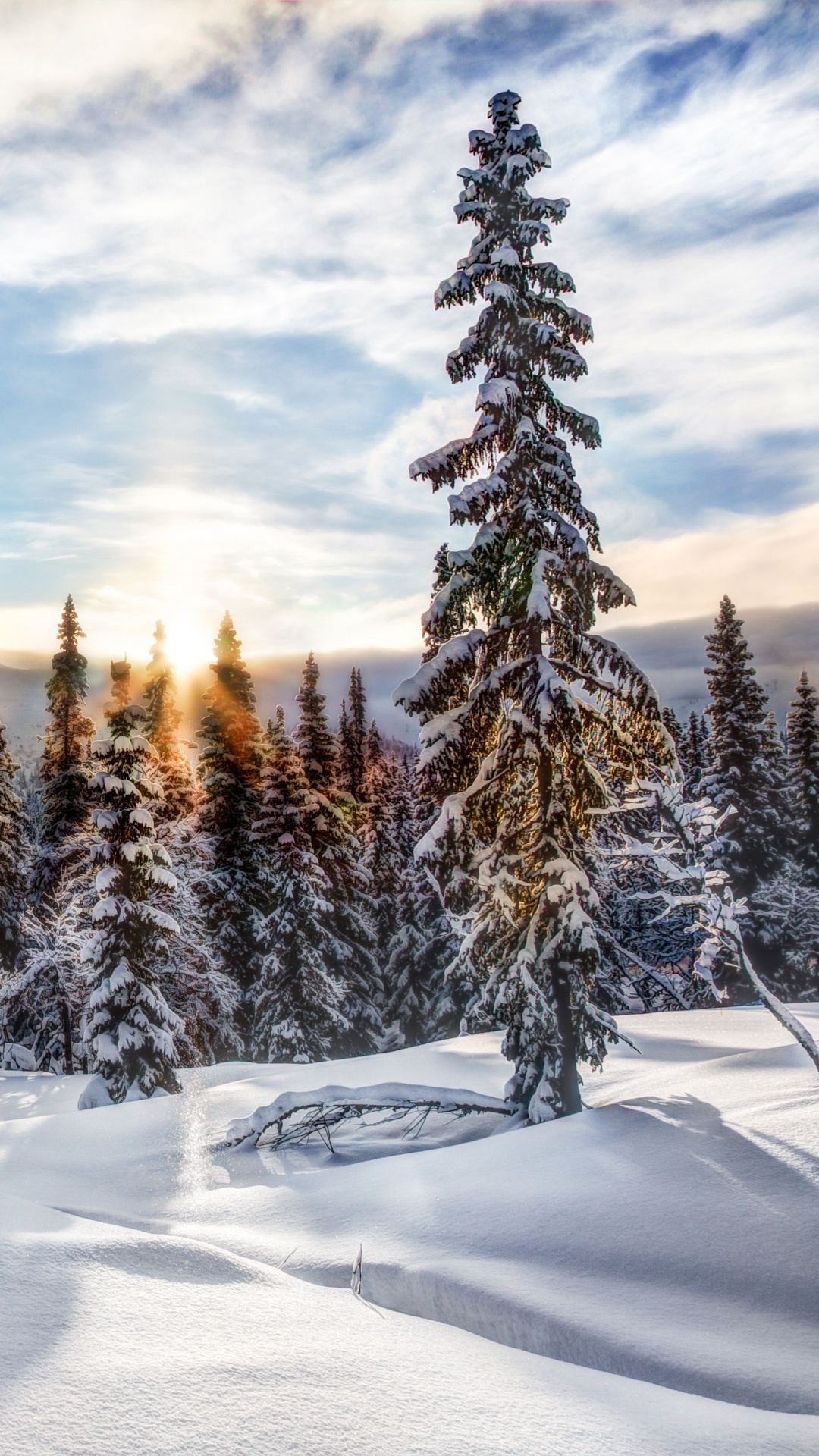 Schneebedeckte Kiefern Unter Weißen Wolken Und Blauem Himmel Tagsüber. Wallpaper in 1080x1920 Resolution