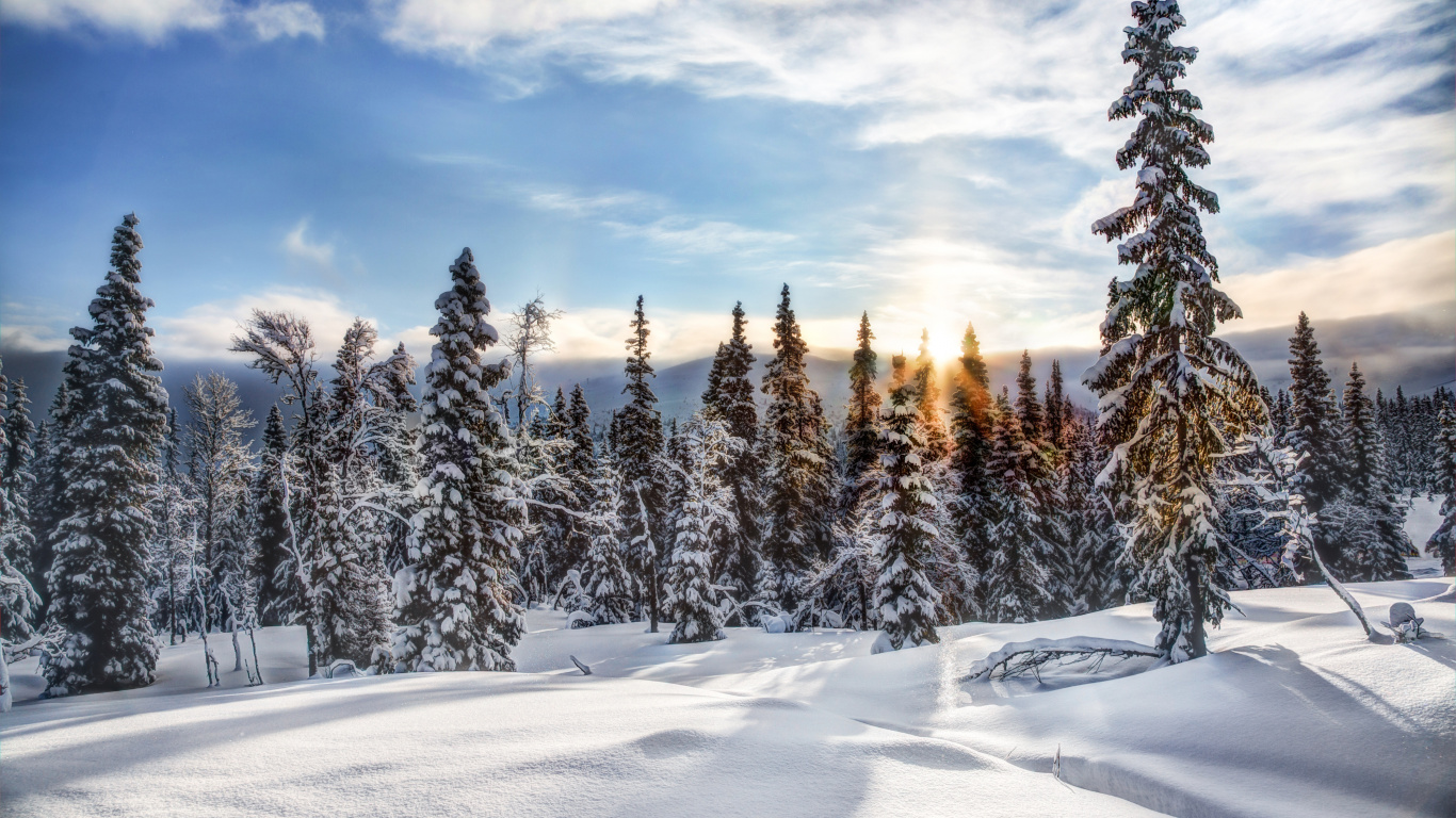 Snow Covered Pine Trees Under White Clouds and Blue Sky During Daytime. Wallpaper in 1366x768 Resolution