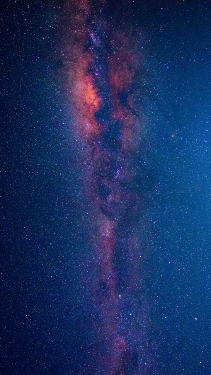 Silueta de Árboles Bajo un Cielo Azul Durante la Noche. Wallpaper in 720x1280 Resolution