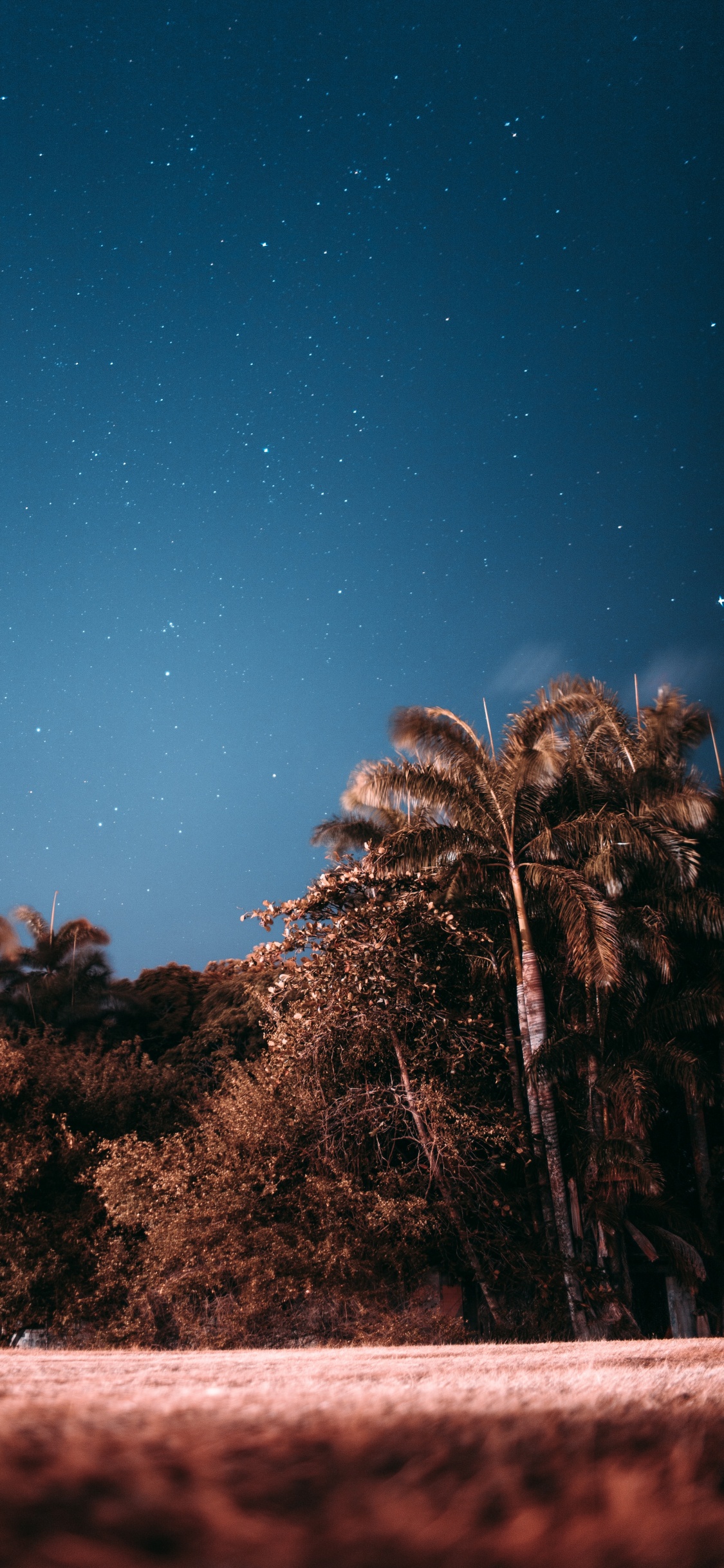 Nuit, Objet Astronomique, Atmosphère, Arecales, L'atmosphère de la Terre. Wallpaper in 1125x2436 Resolution