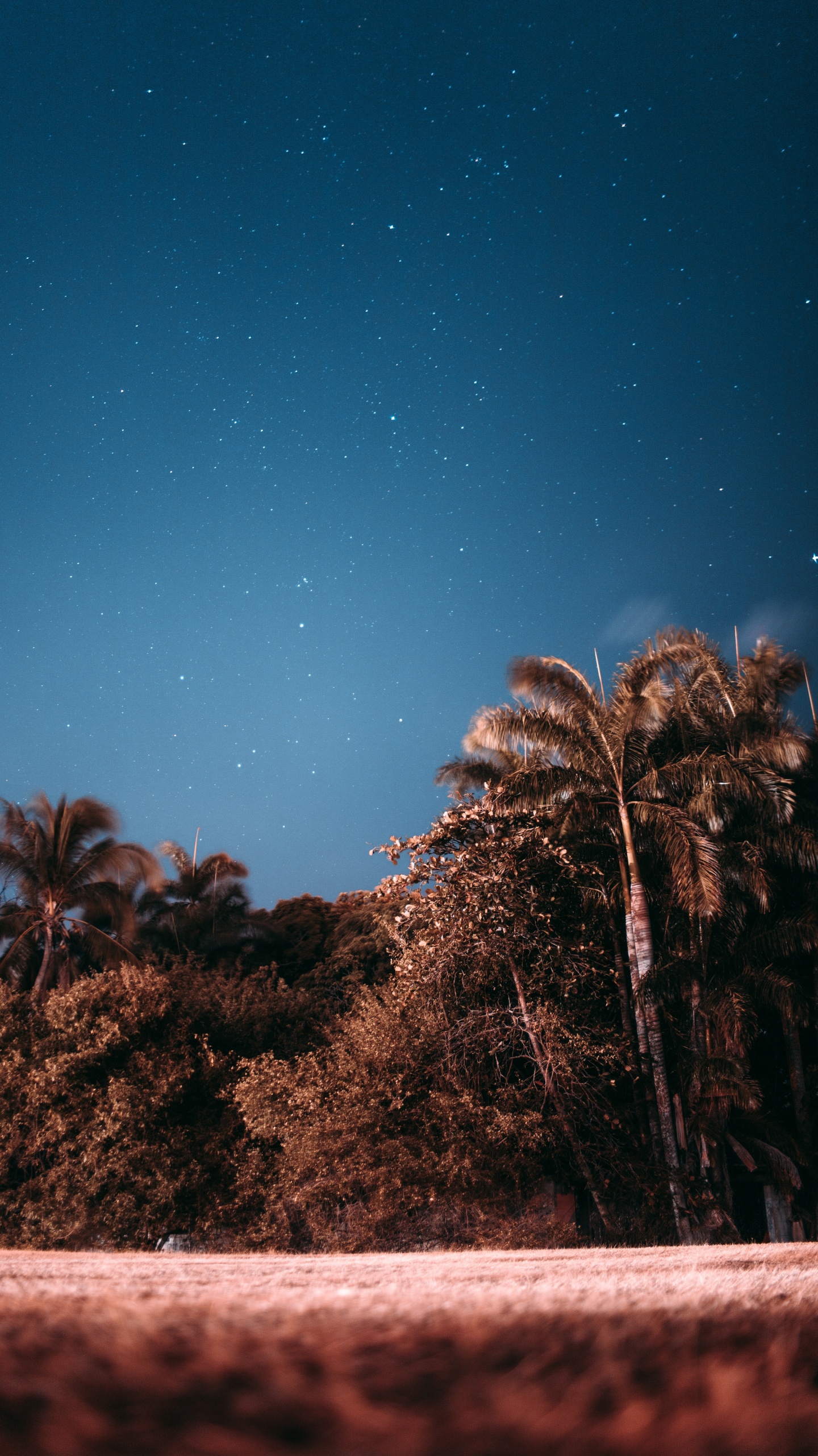 Nuit, Objet Astronomique, Atmosphère, Arecales, L'atmosphère de la Terre. Wallpaper in 1440x2560 Resolution