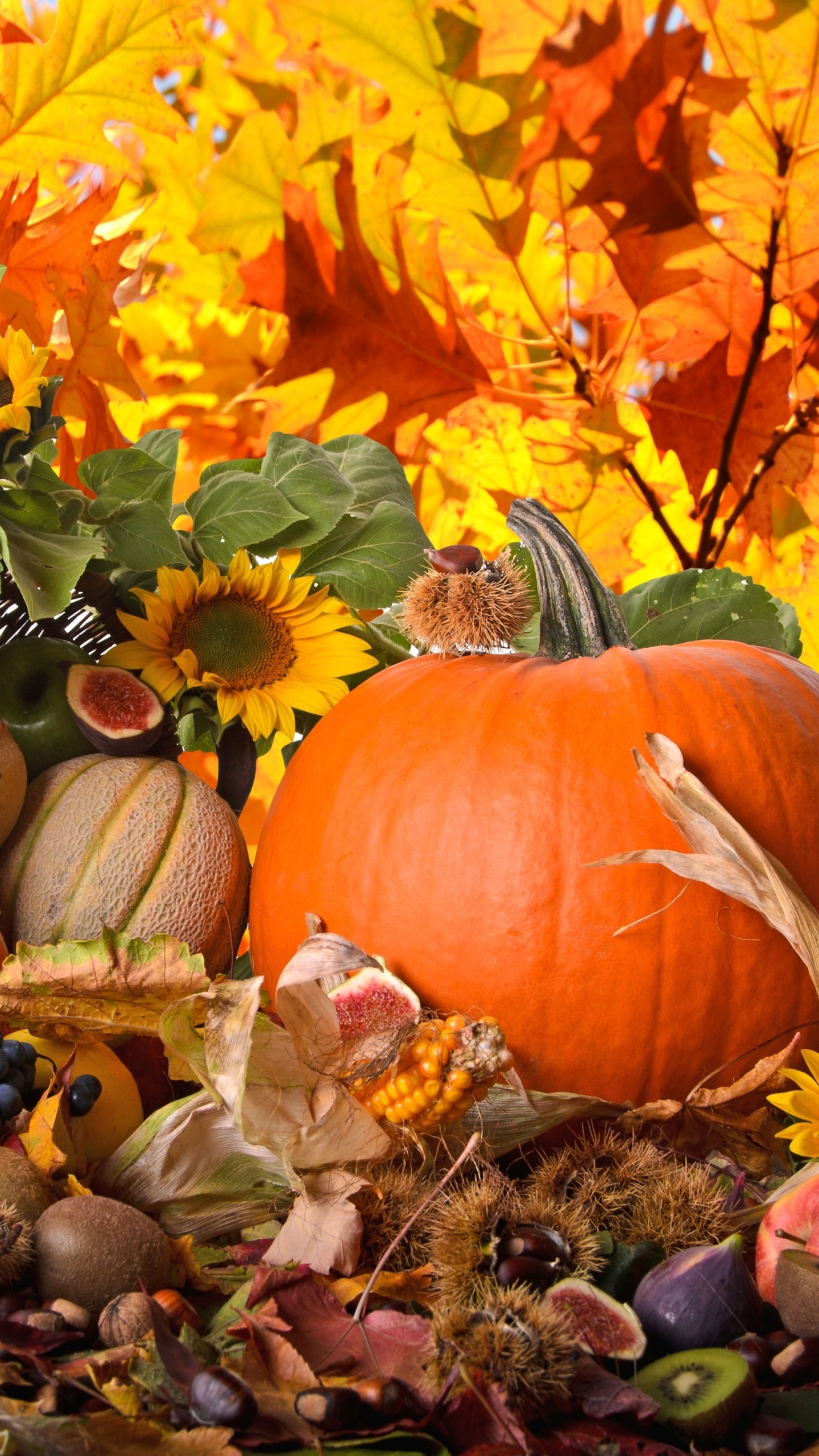 Orange Pumpkin Surrounded by Brown and Green Leaves. Wallpaper in 1440x2560 Resolution