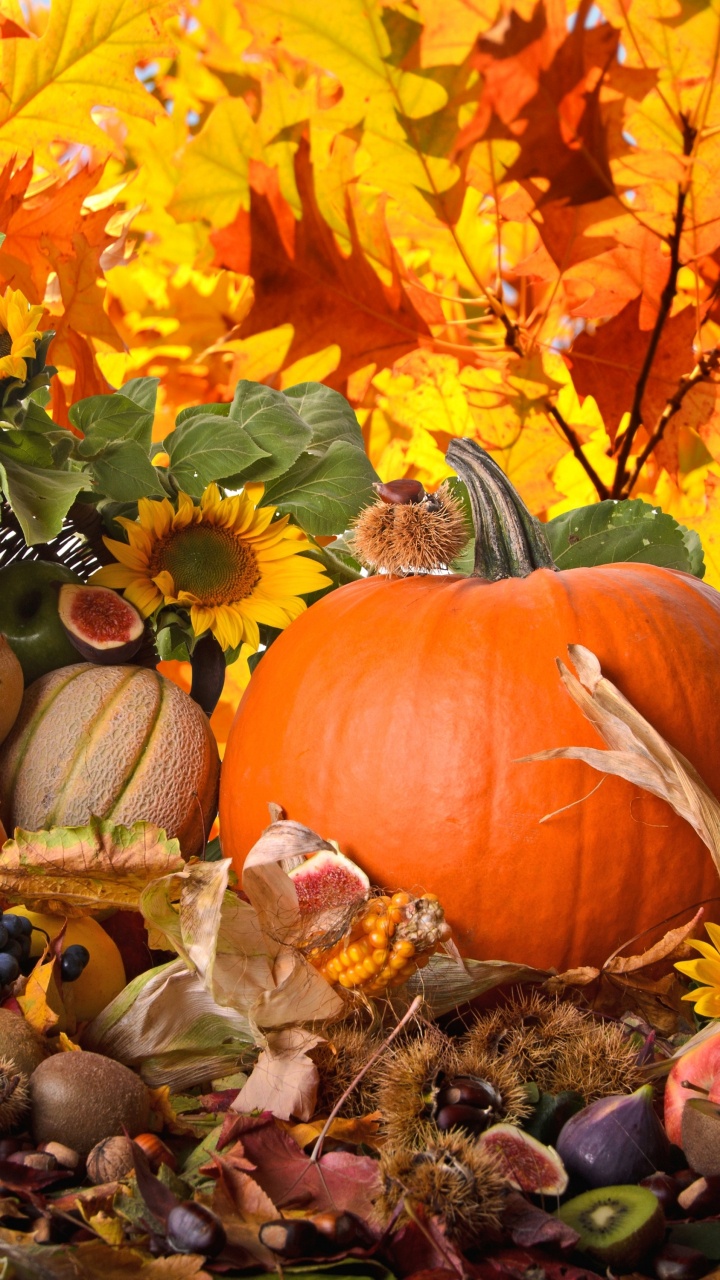 Orange Pumpkin Surrounded by Brown and Green Leaves. Wallpaper in 720x1280 Resolution