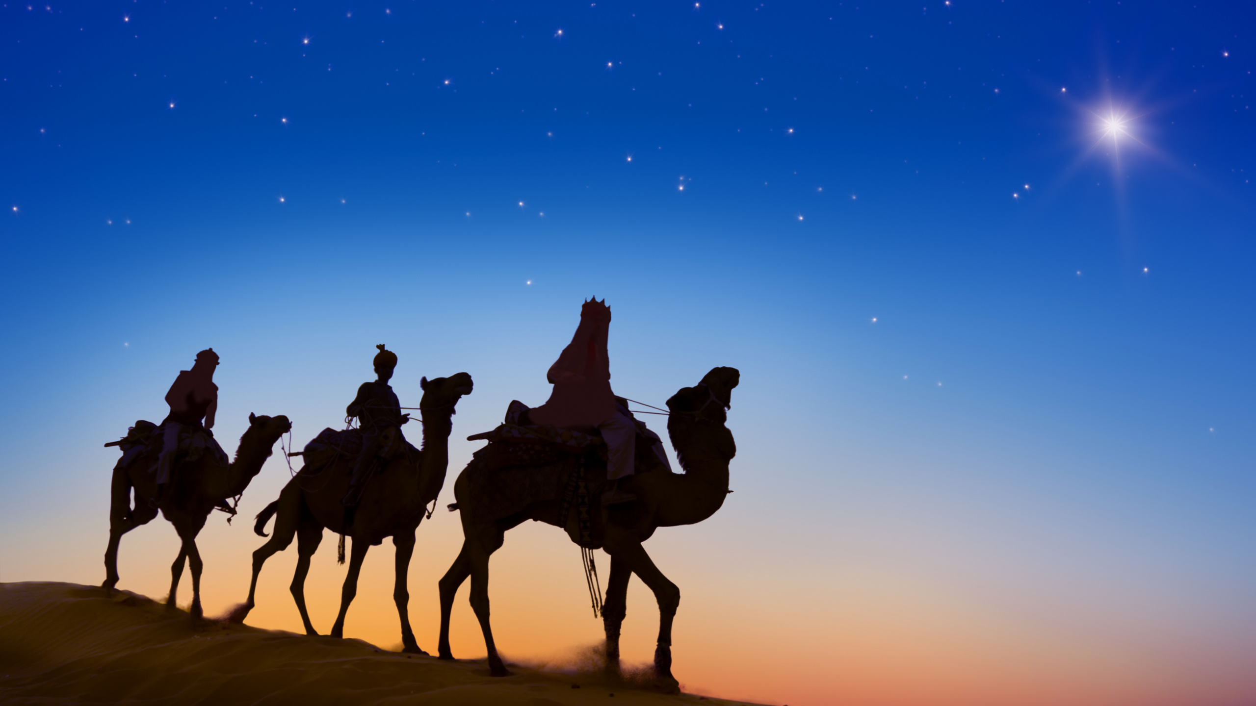 Silhouette of People Riding Camels on Desert During Night Time. Wallpaper in 2560x1440 Resolution
