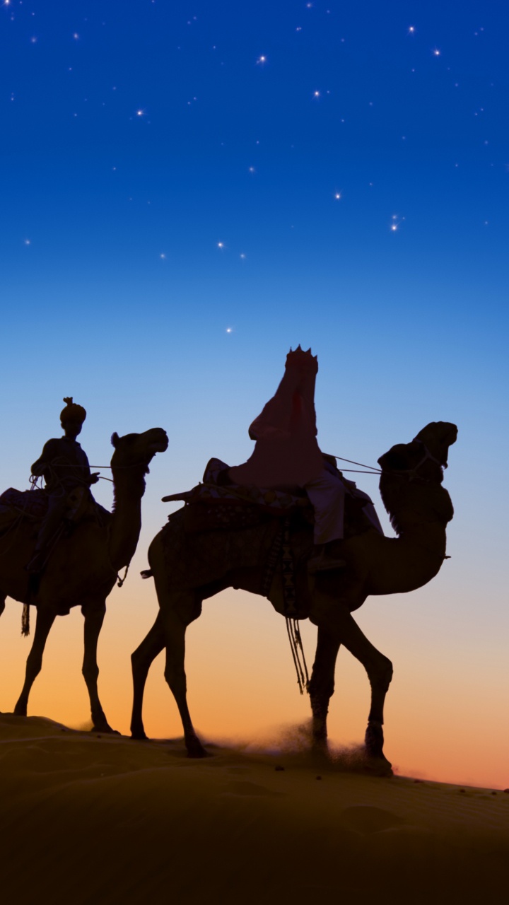 Silhouette of People Riding Camels on Desert During Night Time. Wallpaper in 720x1280 Resolution