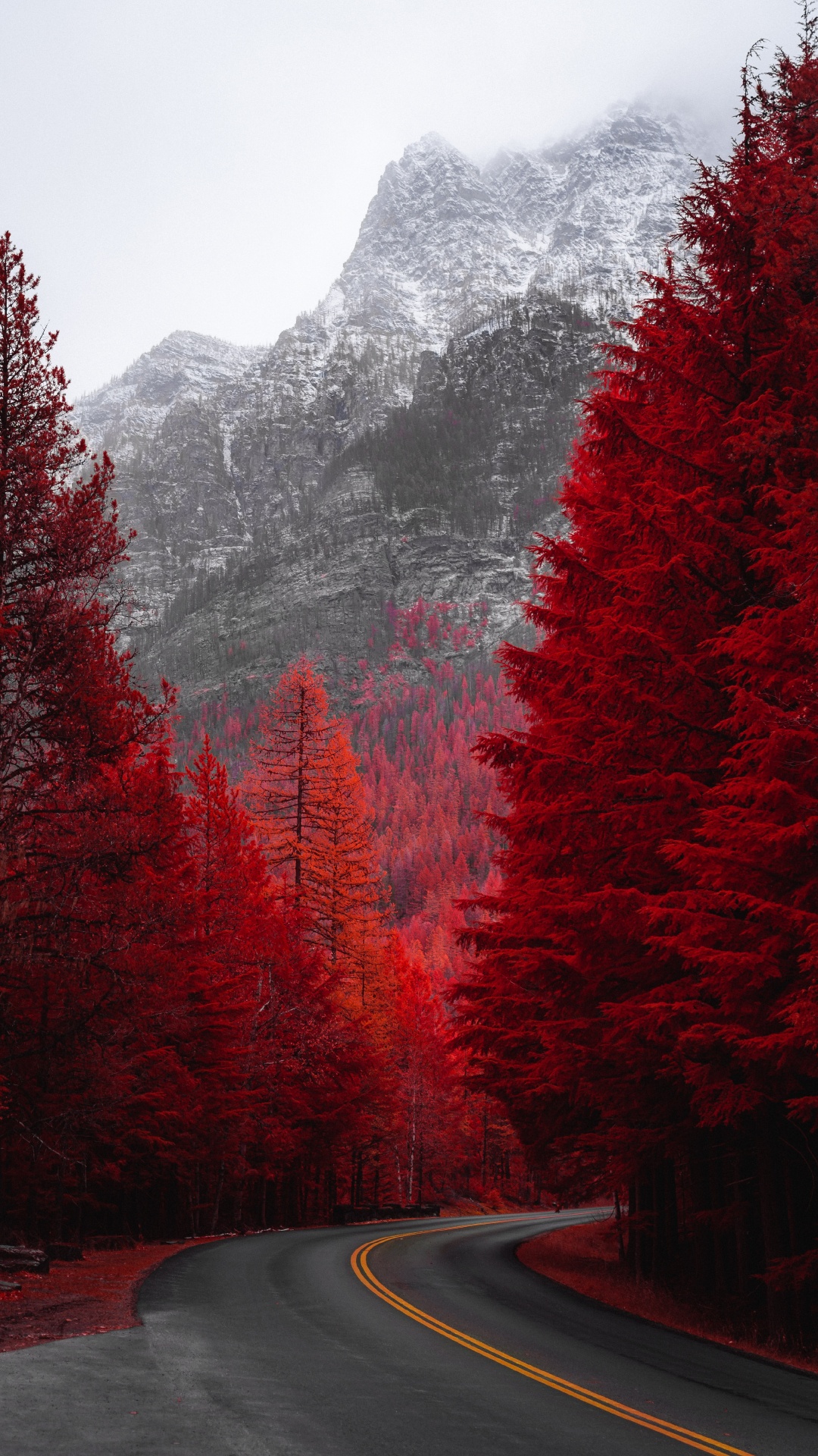 Nature, Paysage Naturel, Red, Feuille, Route. Wallpaper in 1080x1920 Resolution