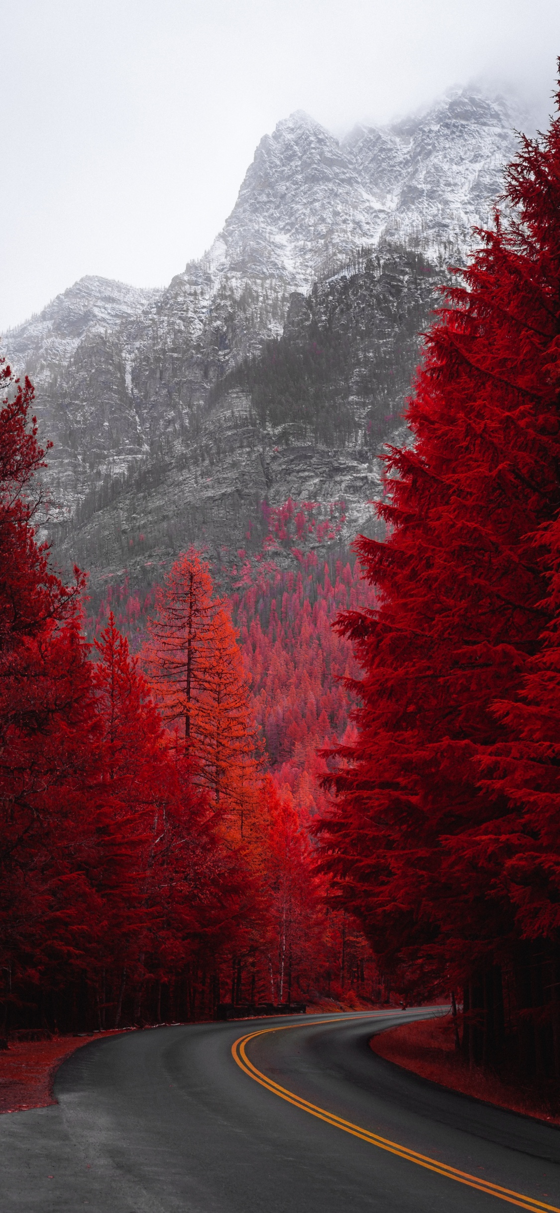 Nature, Paysage Naturel, Red, Feuille, Route. Wallpaper in 1125x2436 Resolution