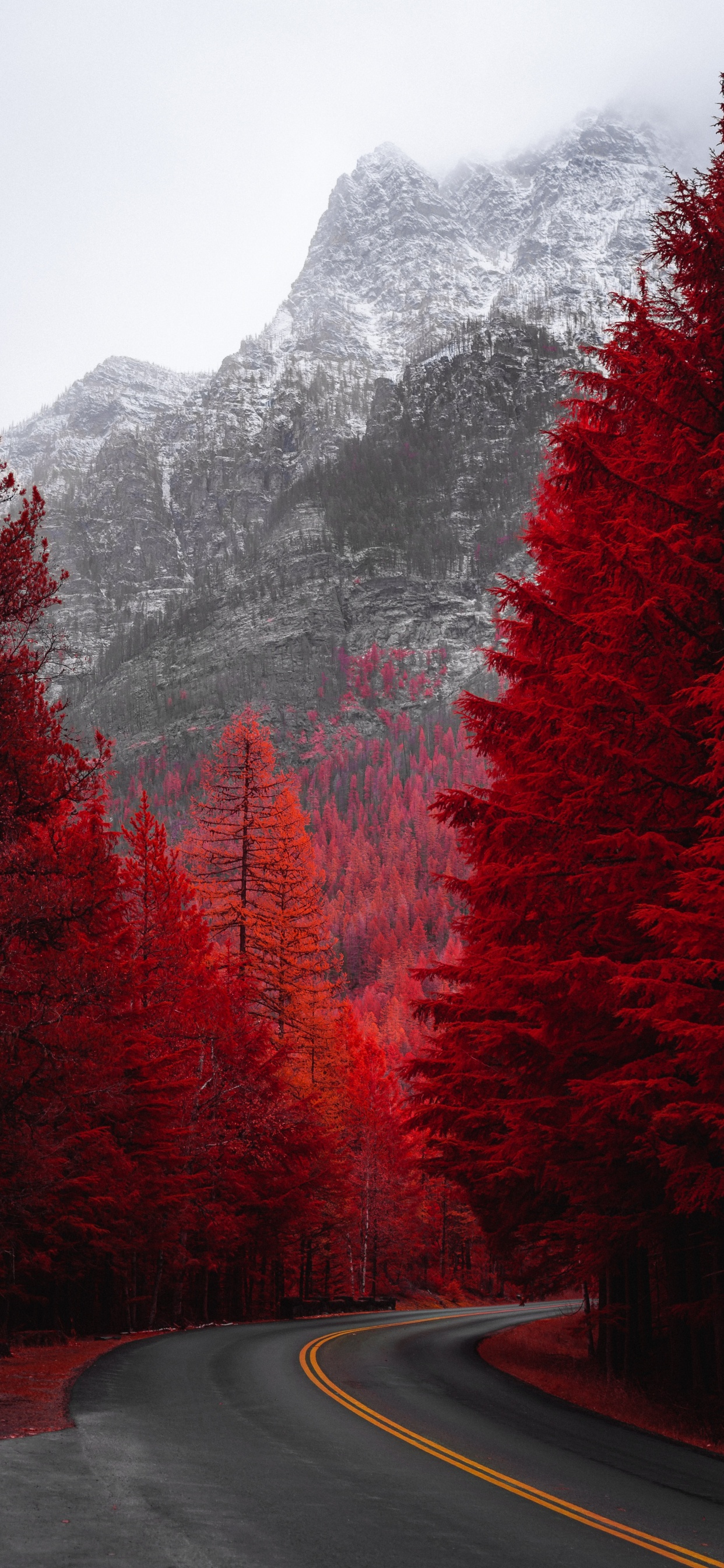 Nature, Paysage Naturel, Red, Feuille, Route. Wallpaper in 1242x2688 Resolution