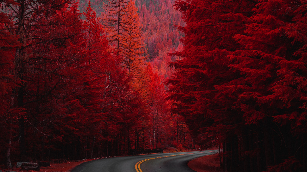 Nature, Paysage Naturel, Red, Feuille, Route. Wallpaper in 1280x720 Resolution